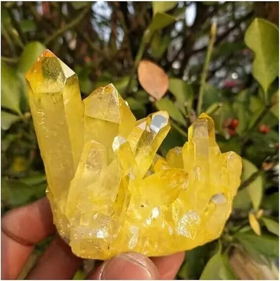 Titanium Aura Citrine Yellow Crystal Cluster Healing Mineral Specimen Collection