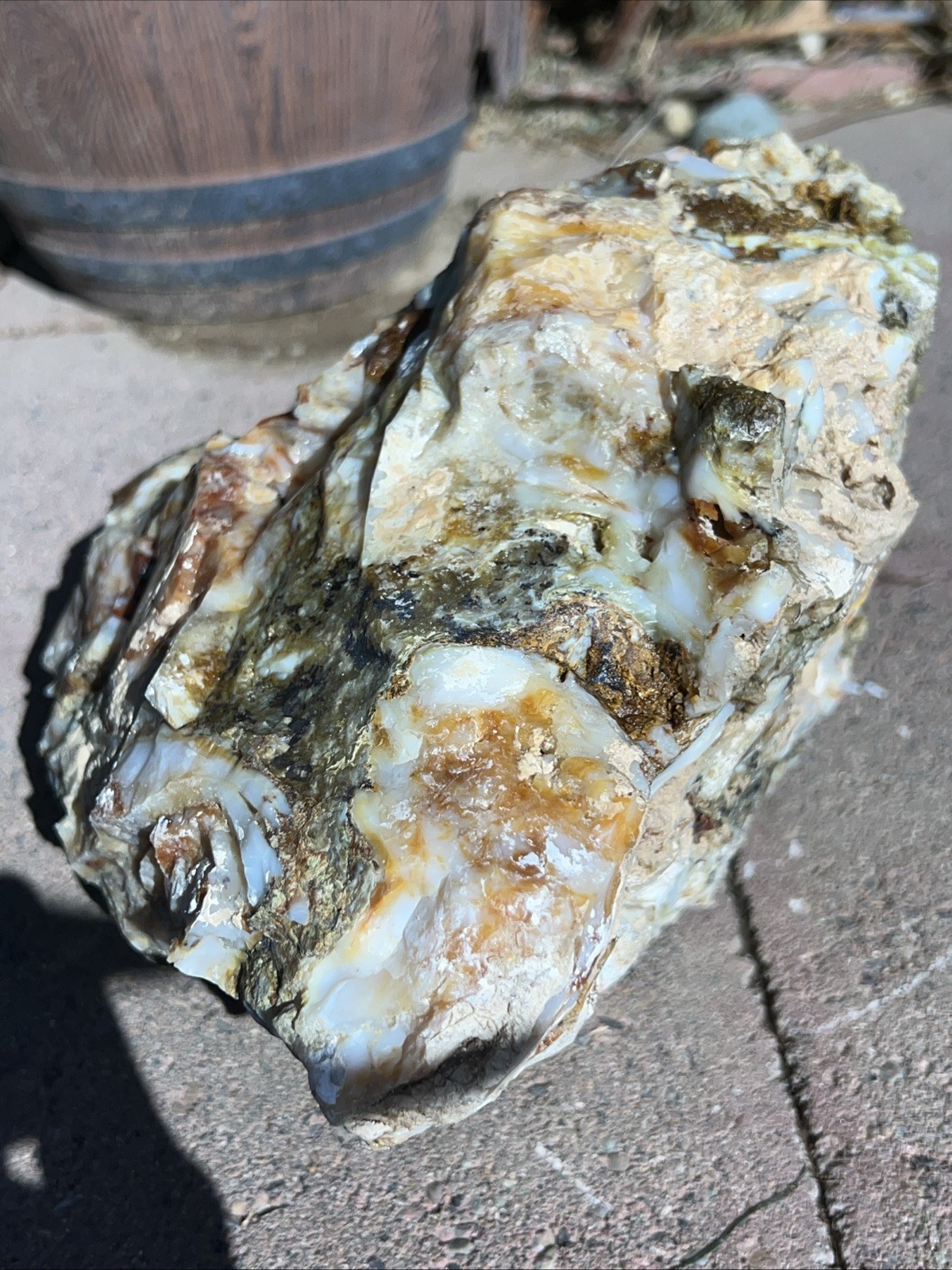 Agatized Opalized Petrified Wood 17 Lbs White Red Orange Fire Agate Throughout