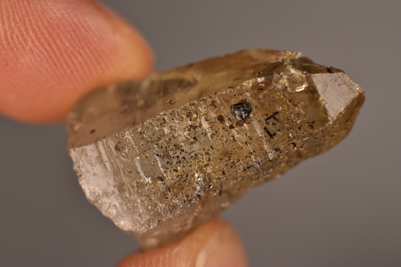 2 *AUSTRALIAN* CASSITERITE In QUARTZ 2-3cm 17.6g Crystals Citrine Tin Torrington