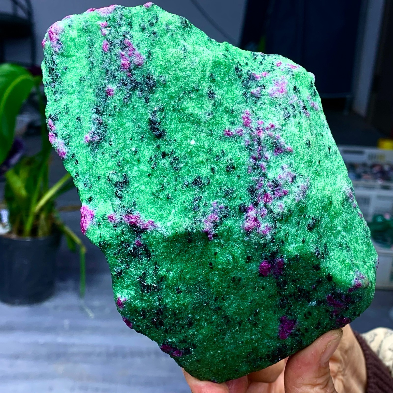 3.5LB Natural green Ruby zoisite (anylite) crystal Chakra Healing Energy A761