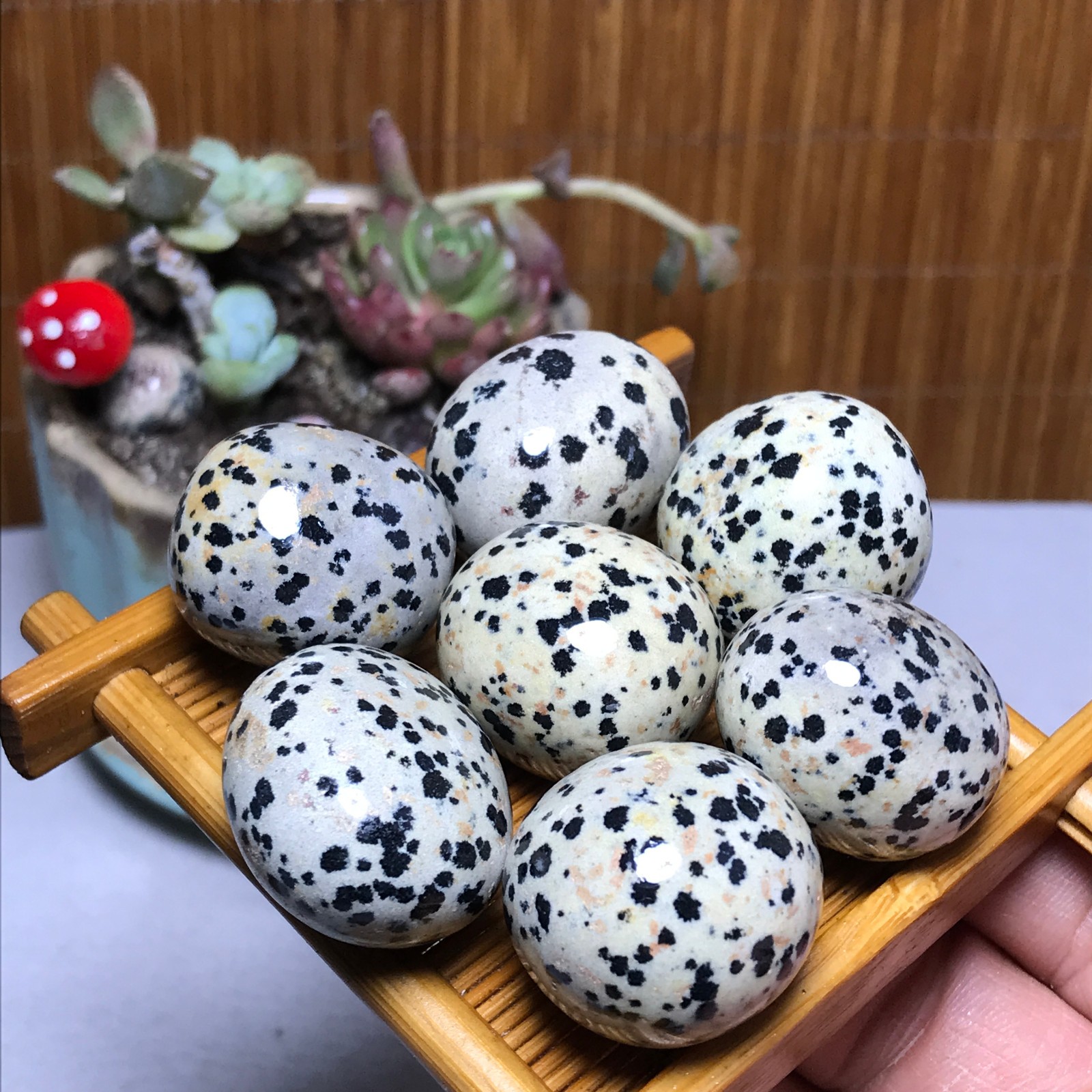 25-22-22mm 7Pcs Natural spotted stone Crystal gemstone Mineral Specimen A4408