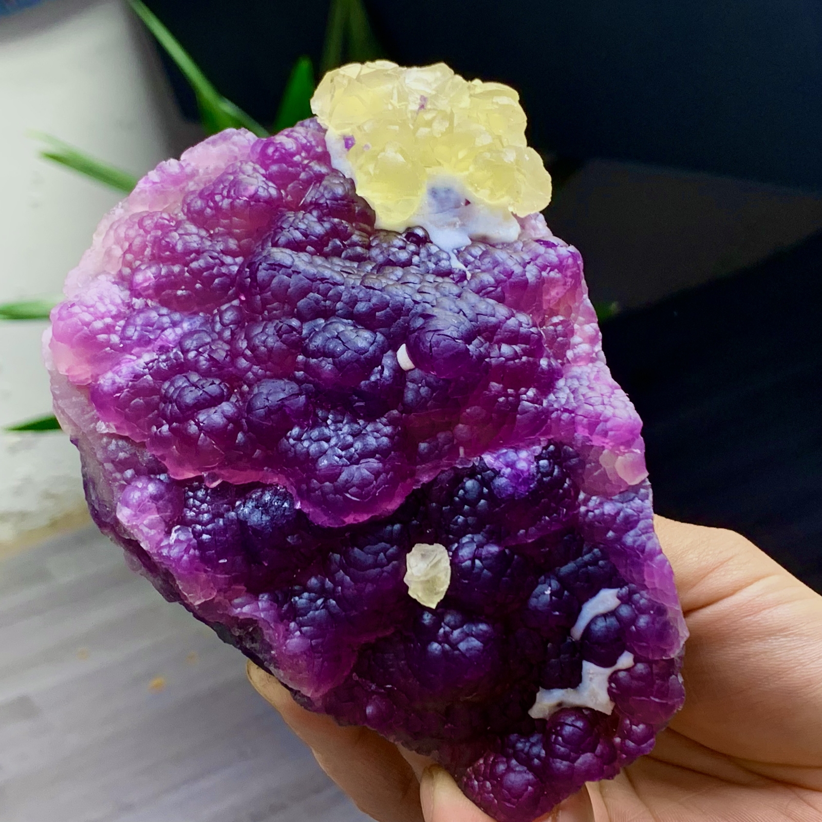 2.40LB Complete rare and gorgeous purple fluorite from Inner Mongolia, China