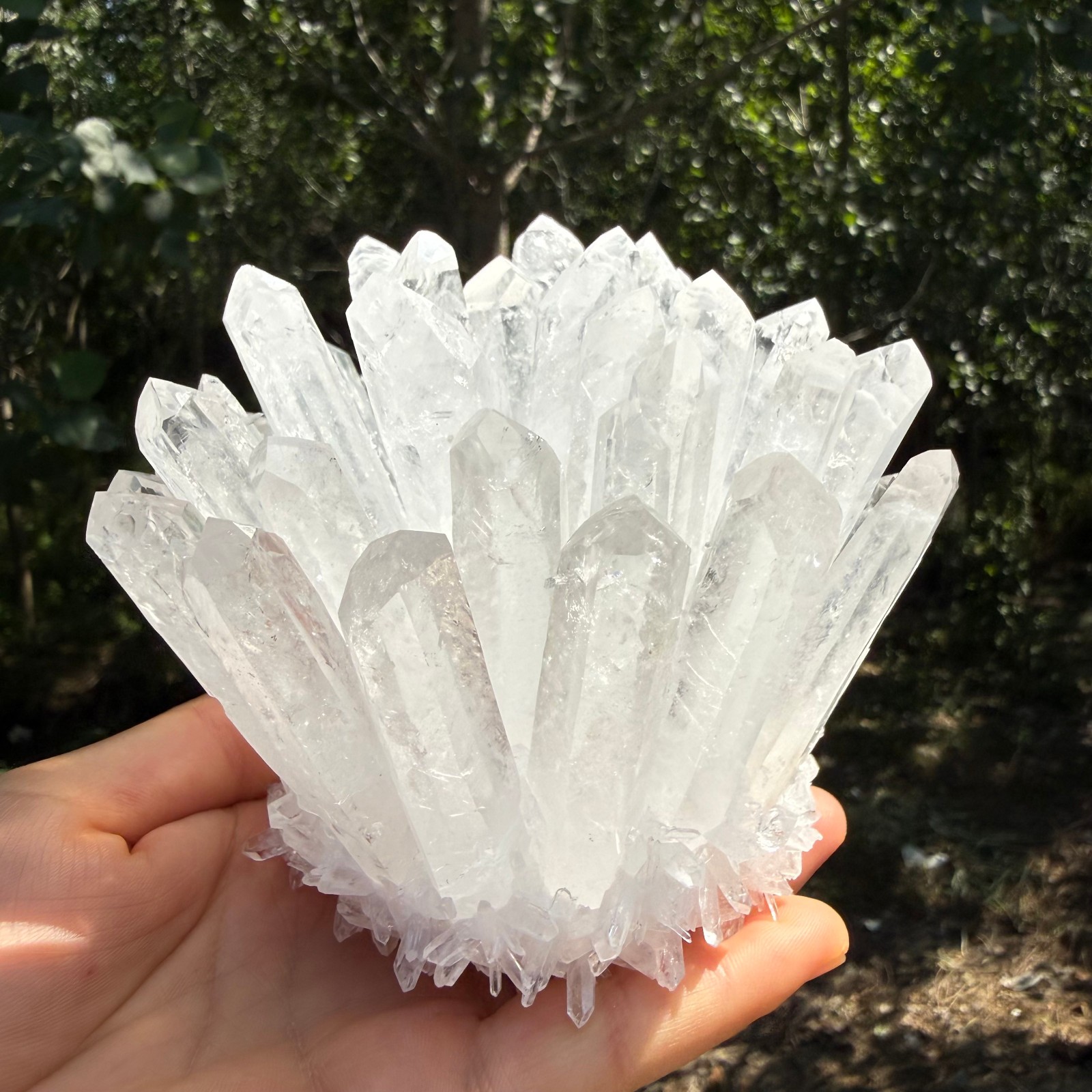 2.2LB Large Natural White Clear Quartz Cluster Crystal Mineral Healing 1pc