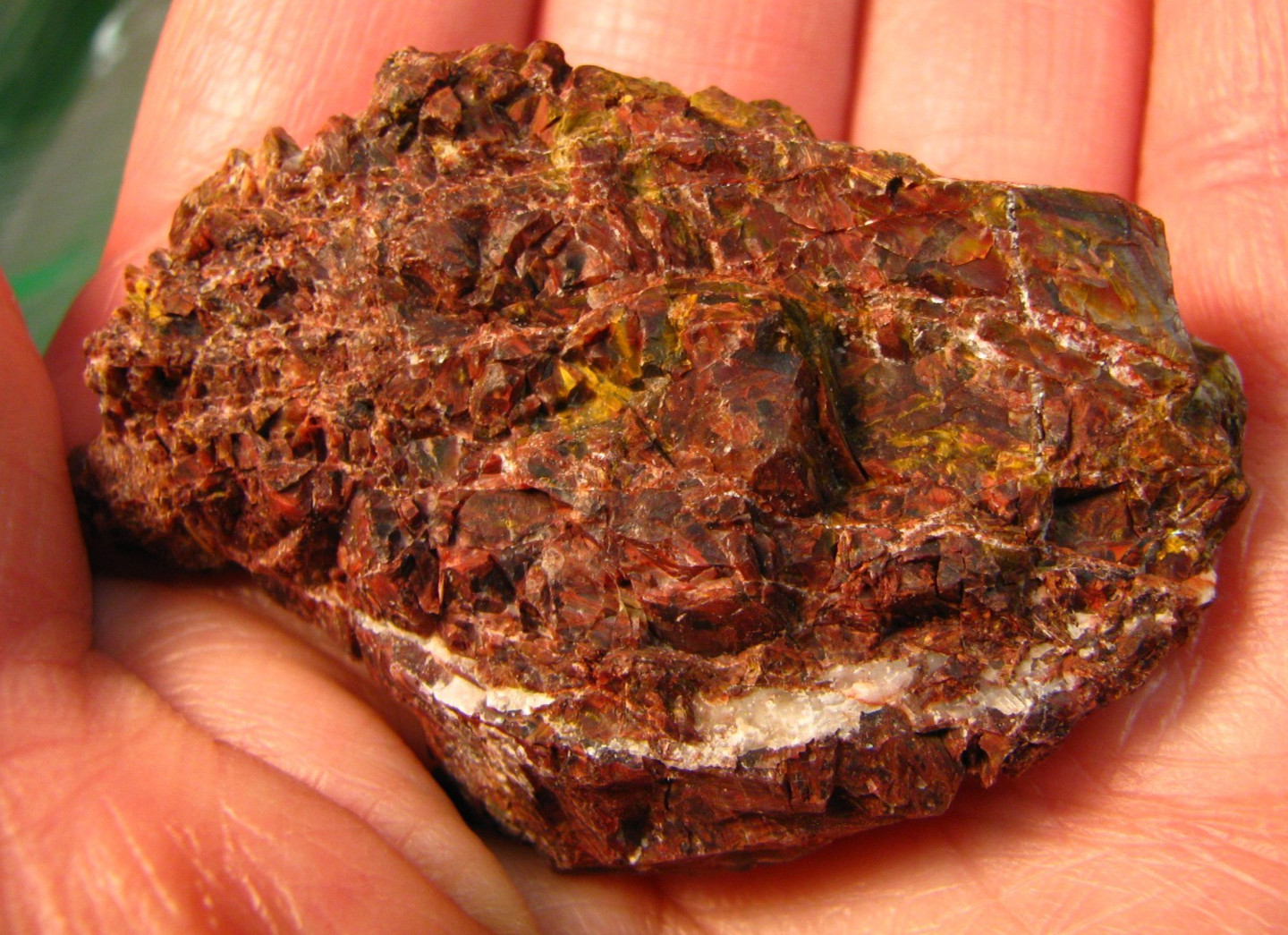49g 2.4×1.6x.7inch RED PIETERSITE ROUGH W/YELLOW NAMIBIA #186