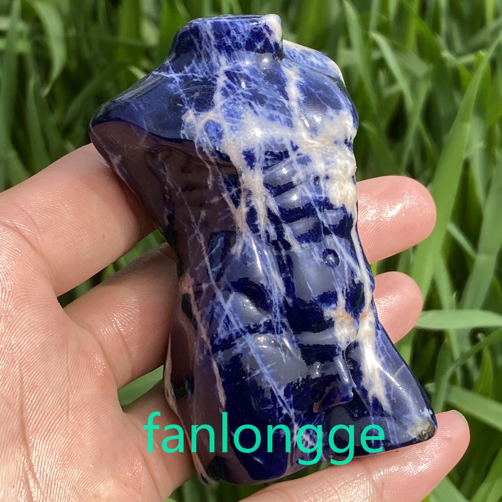 3.2in Natural Sodalite male Quartz Crystal skull Body Sculpture Reiki 1PC