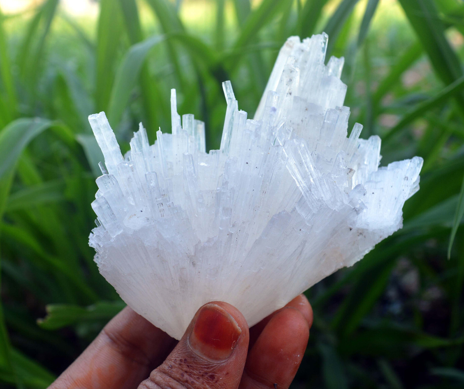 scolecite spray minerals specimen a-4