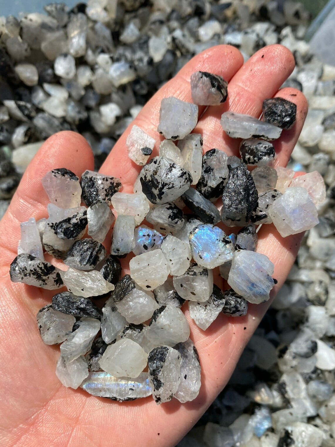 5 PCS Natural Raw Moonstone Rough Rainbow Moonstone Gemstone Mineral Specimen