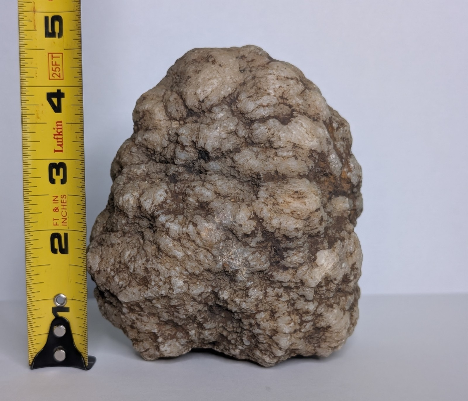 2lb Unopened Geode Crystal Mineral Specimen Natural Quartz Break Your Own