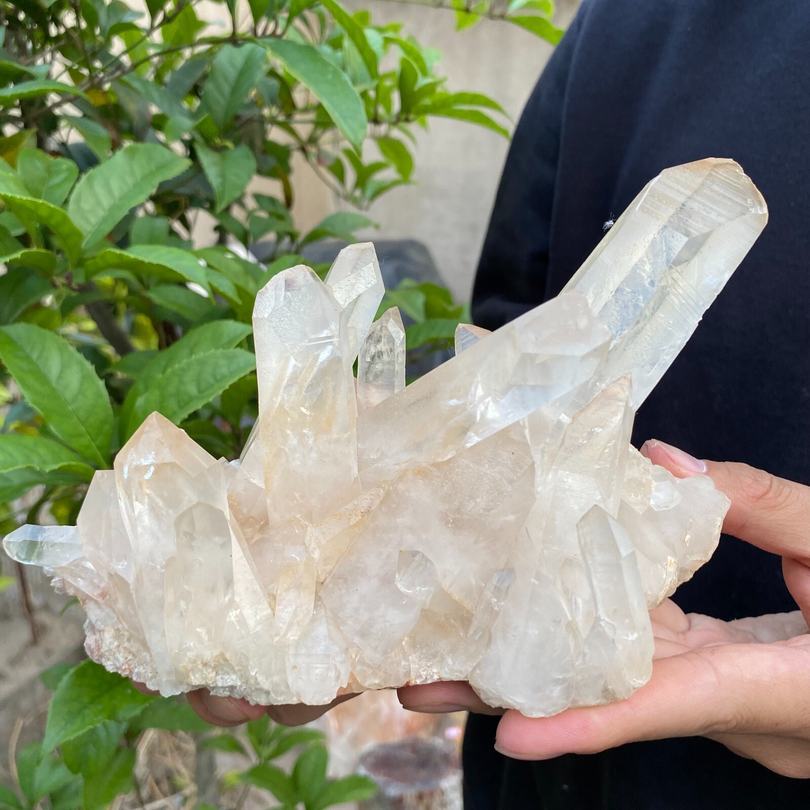 2lb Natural Clear White quart Crystal Cluster Raw Healing Specimen