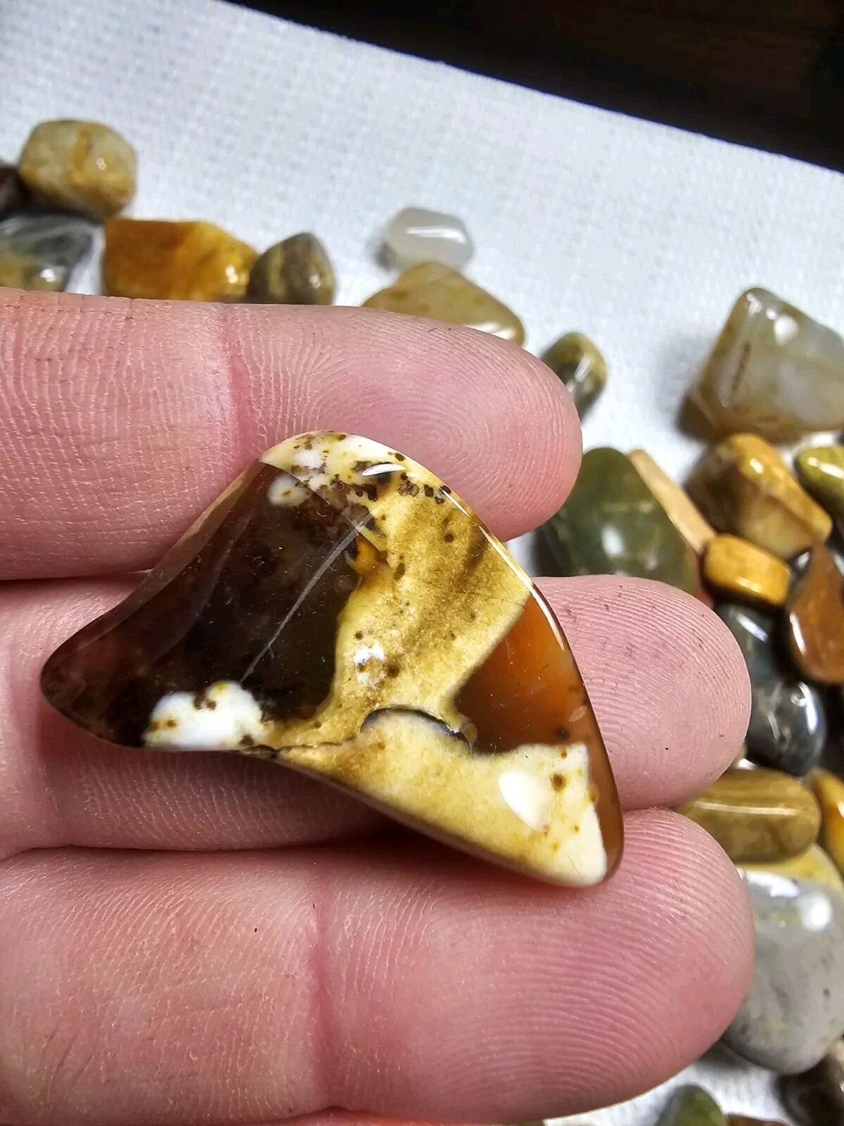 5 Oz. Bulk Mixed Tumbled Stones Agate Chalcedony Jasper Petrified Wood And More