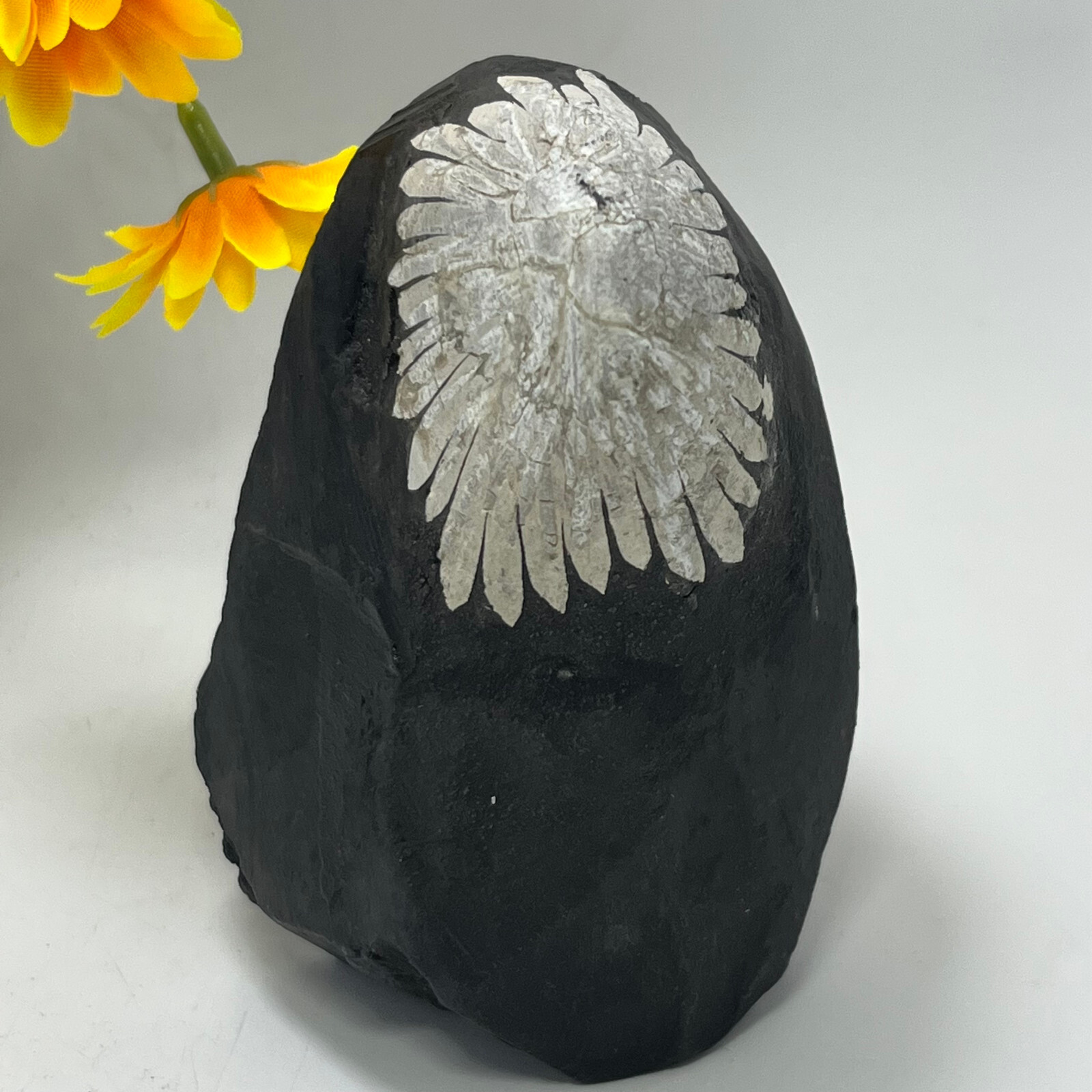 454G Natural chrysanthemum stone Crystal quartz carving aura Specimen healing