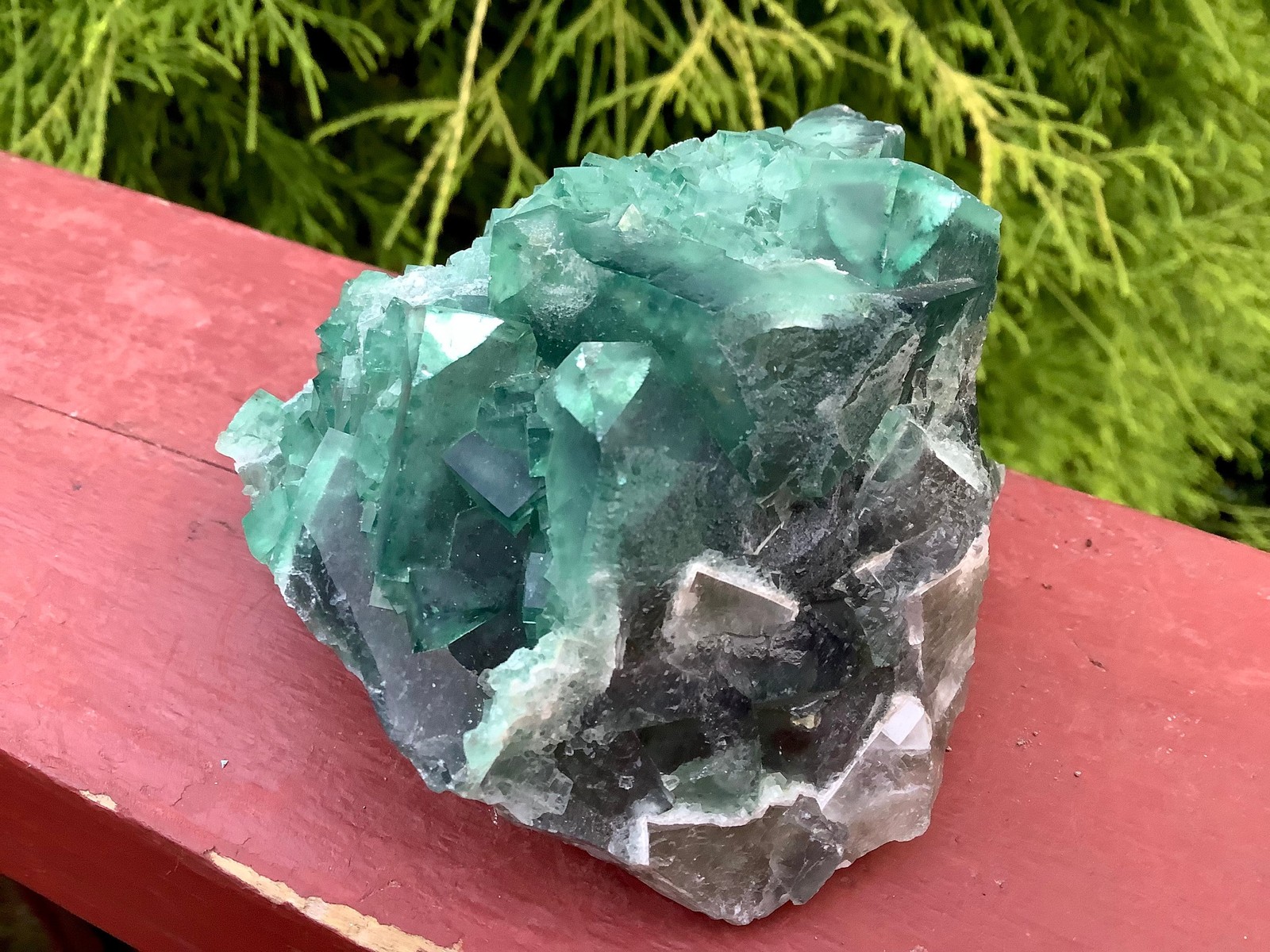 Green Fluorite Crystal Cluster ~ Large 14.9 oz. ~ 3″ Long ~ White Feldspar incl