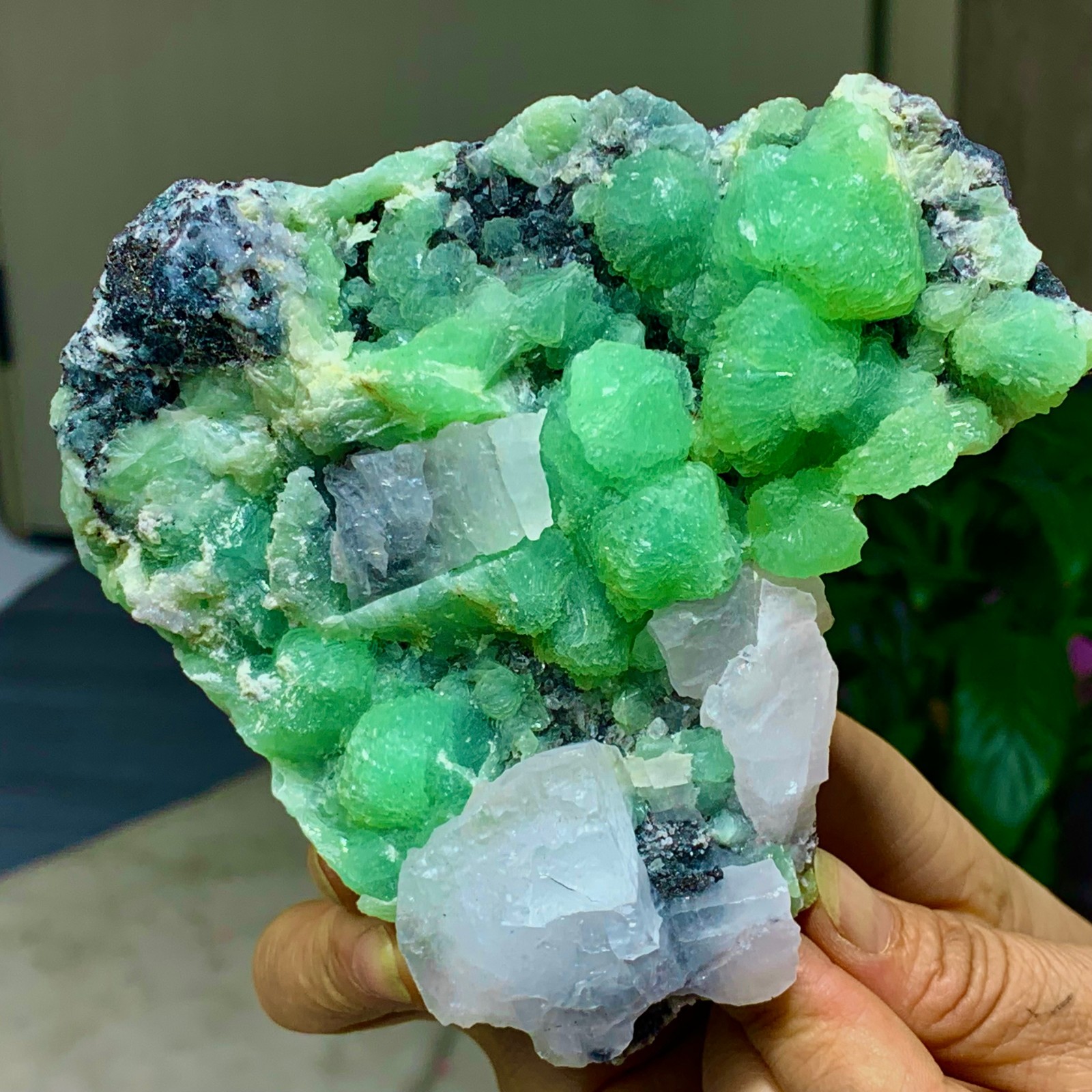462G Natural beautiful spherical prehnite with calcite quartz crystal mineral