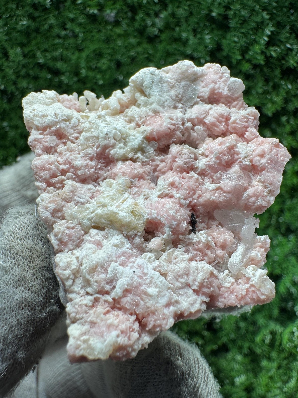 Solid! LOVELY PINK Rhodochrosite from DEPLETED mine / N498