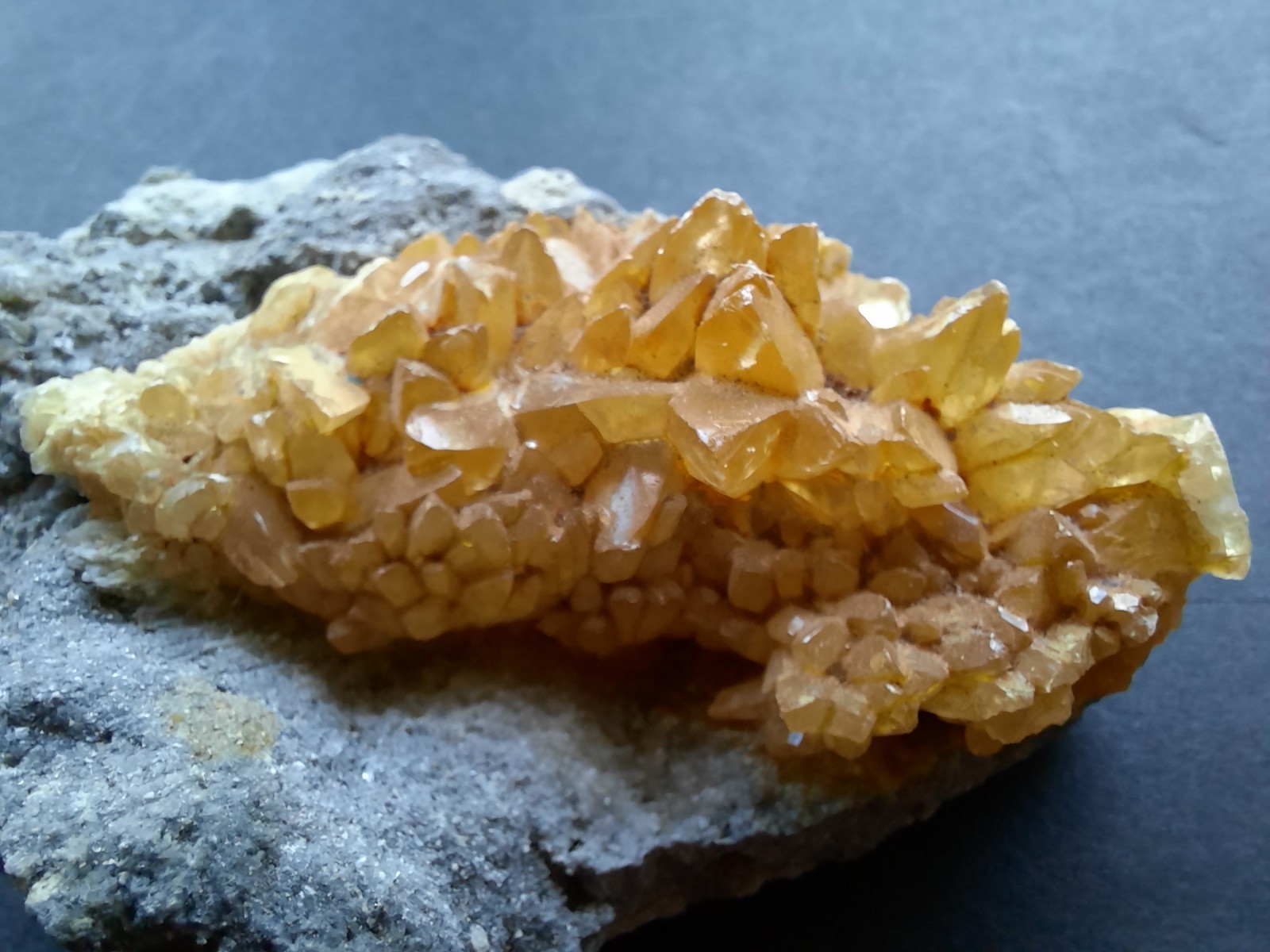 Golden Yellow Honey Calcite Crystals on Fossil Mangrove Clam Shell Rucks Pit