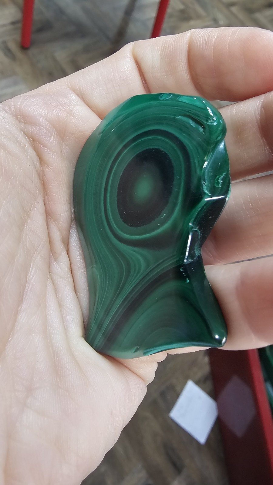 High Quality large Malachite crystal slice slab palm 24g 5.5cm