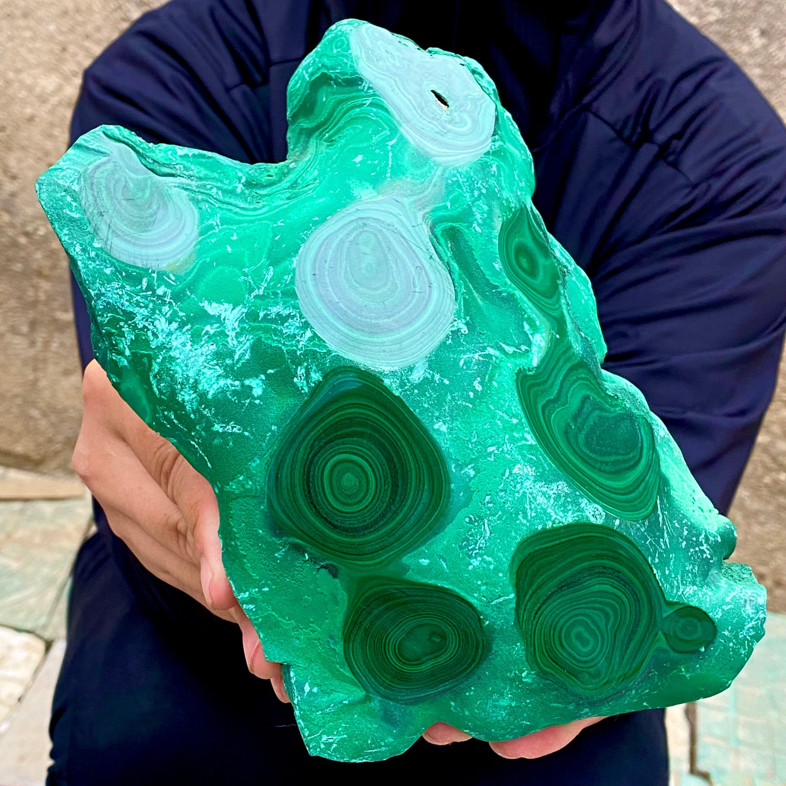 3.2LB Natural tortoise Malachite transparent cluster coarse mineral sample