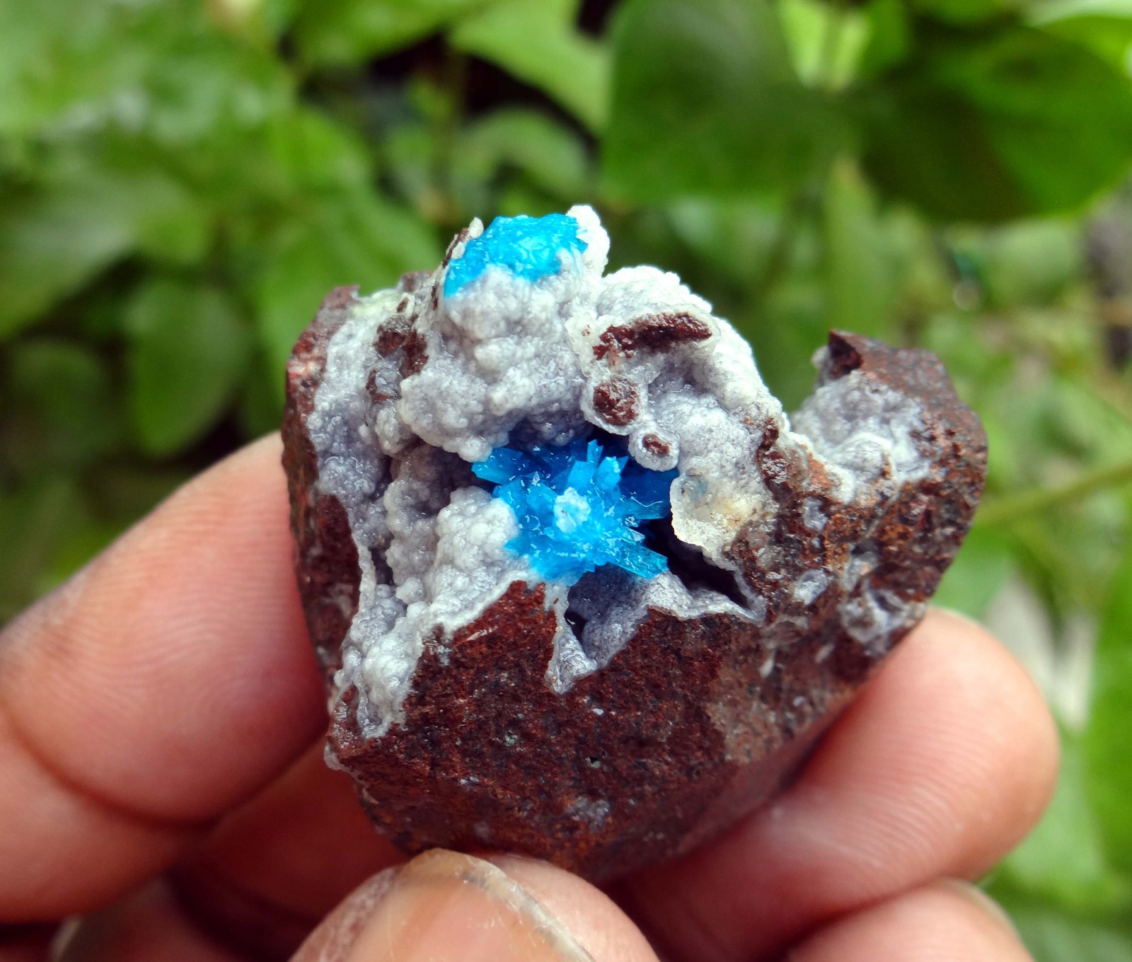 cavncite & matrix minerals specimen j-6