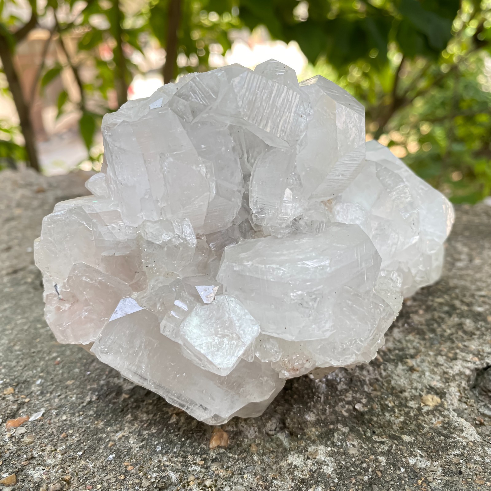 Large 2.2 lbs natural white apophyllite minerals geode minerals specimen