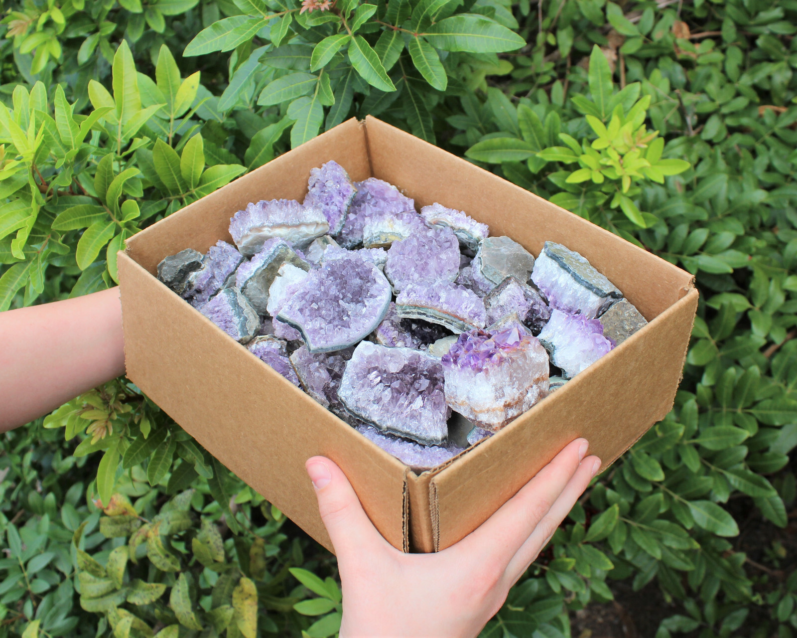 Wholesale Amethyst Cluster Box: B/C Grade CLEARANCE Box Bulk Amethyst Geodes
