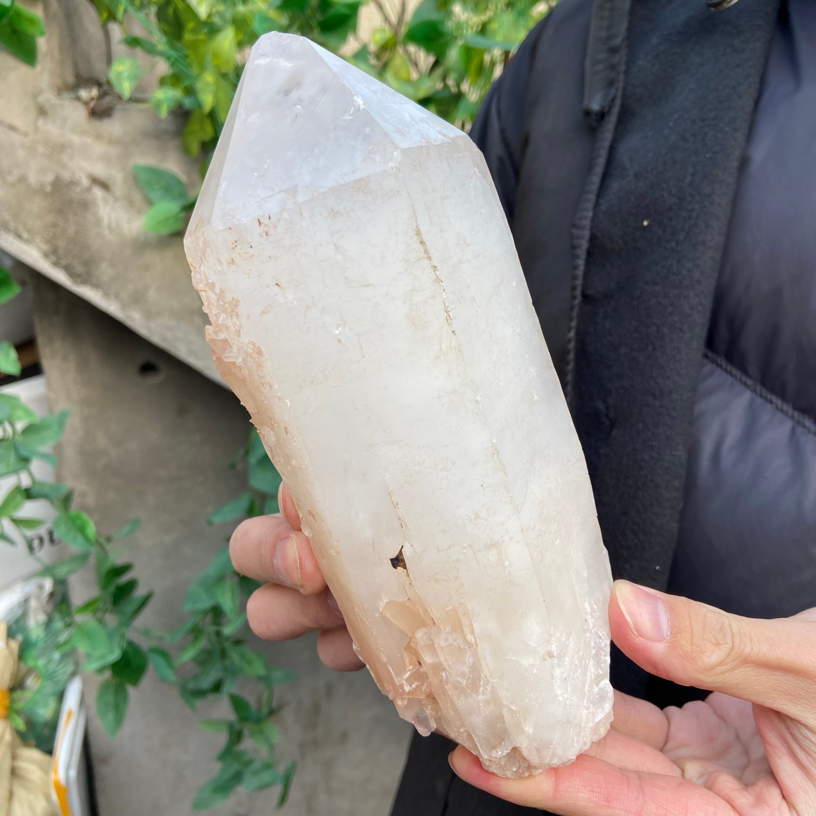 2.9lb Natural clear white crystal quartz point rough mineral specimen