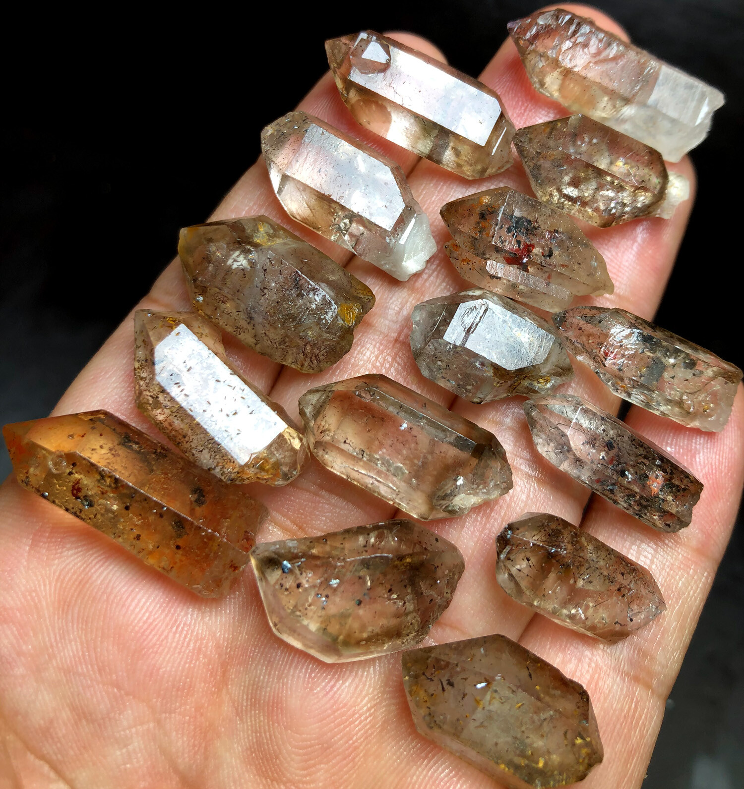 52g 15 Diamond Grade SCEPTERS!Super Seven Skeletal Amethyst Quartz Crystal W492
