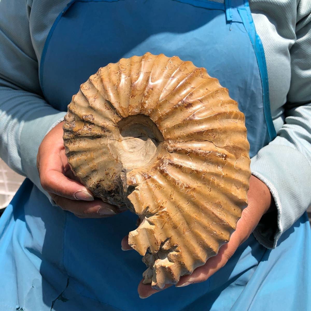 4.18LB Rare! Natural Tentacle Ammonite Specimen Healing Madagascar