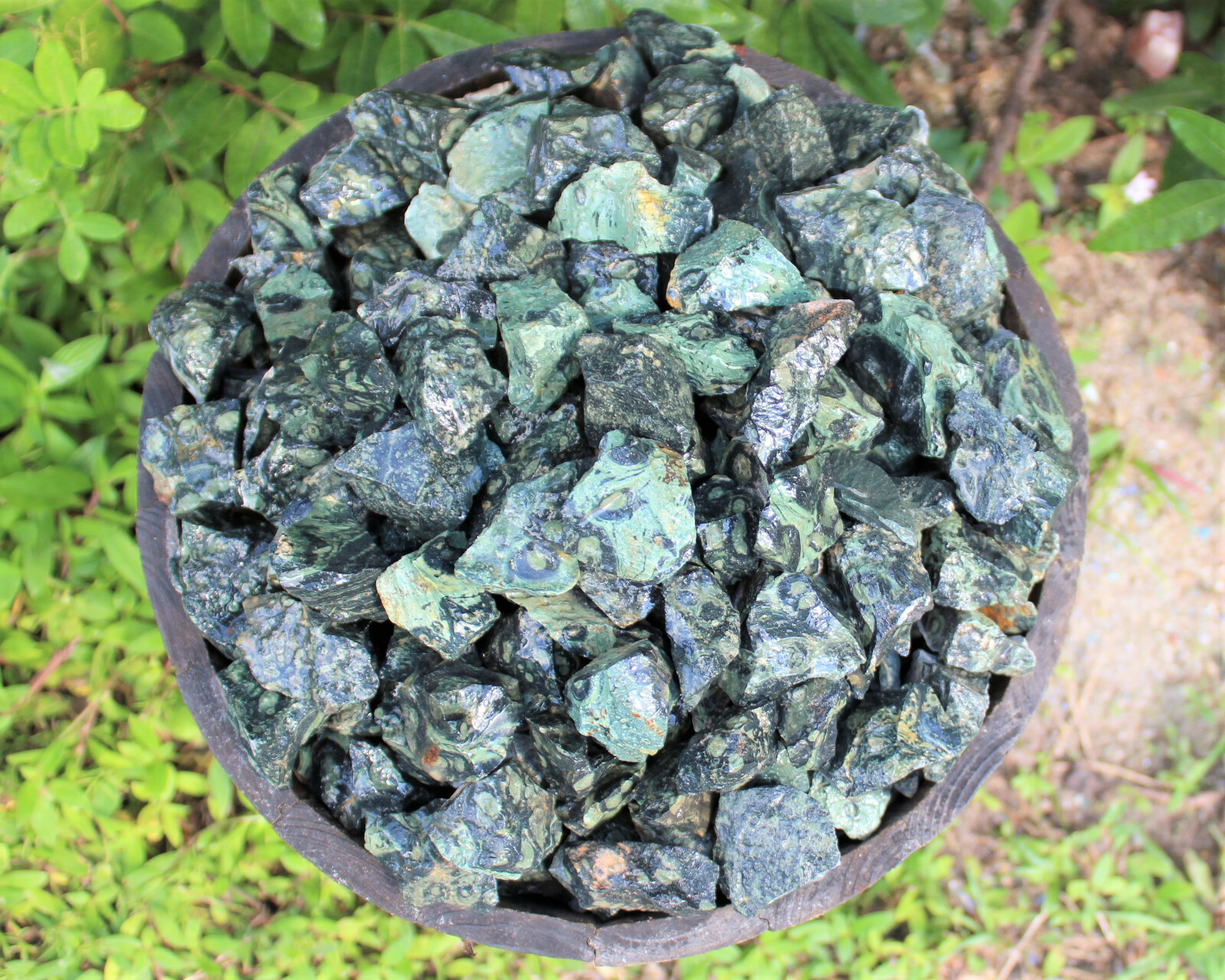 Kambaba Jasper Rough Natural Stones Bulk Wholesale Lots (Raw Crocodile Jasper)