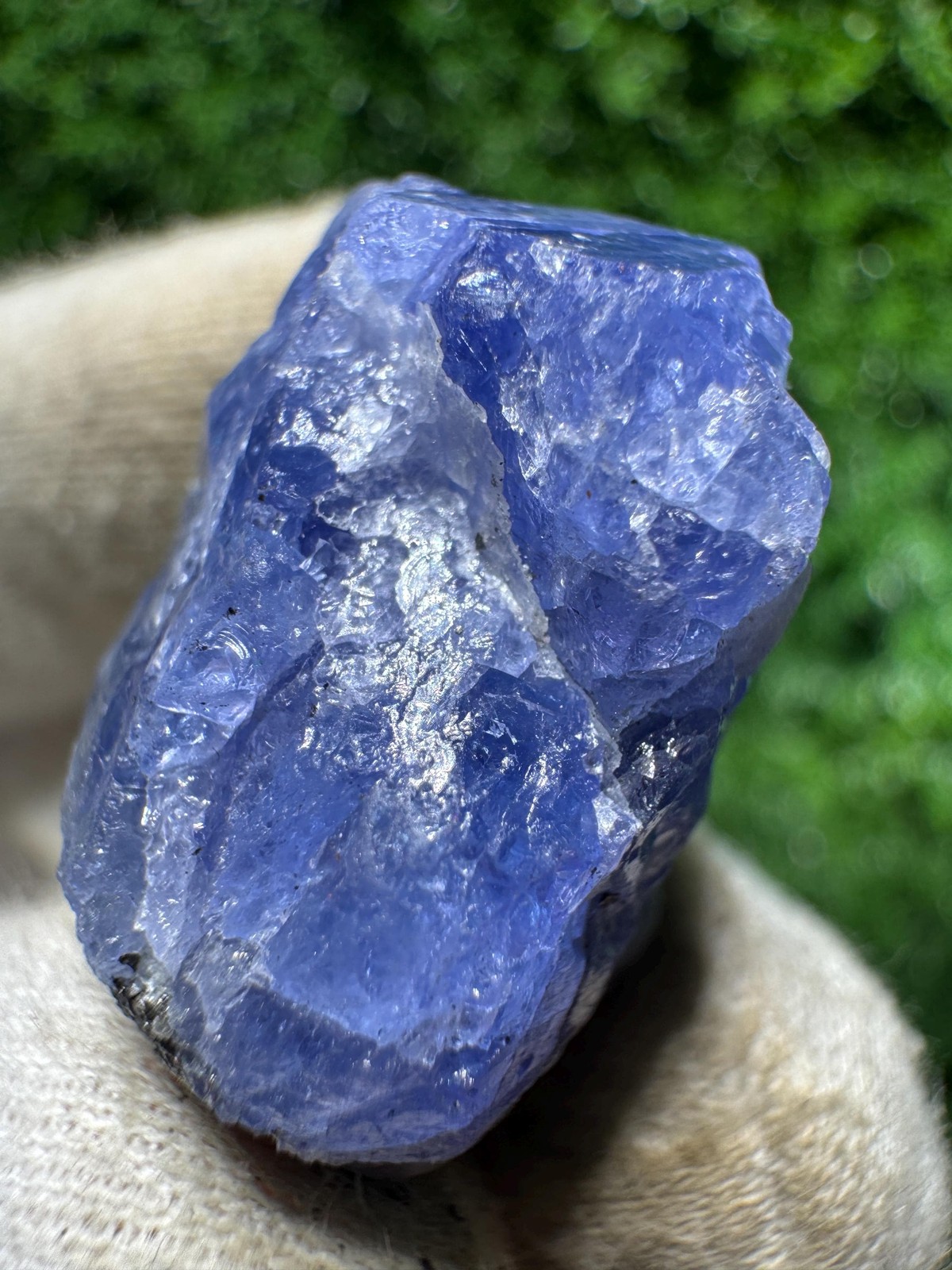 Lovely TANZANITE Crystal with COLOR CHANGE under yellow/white light / N384