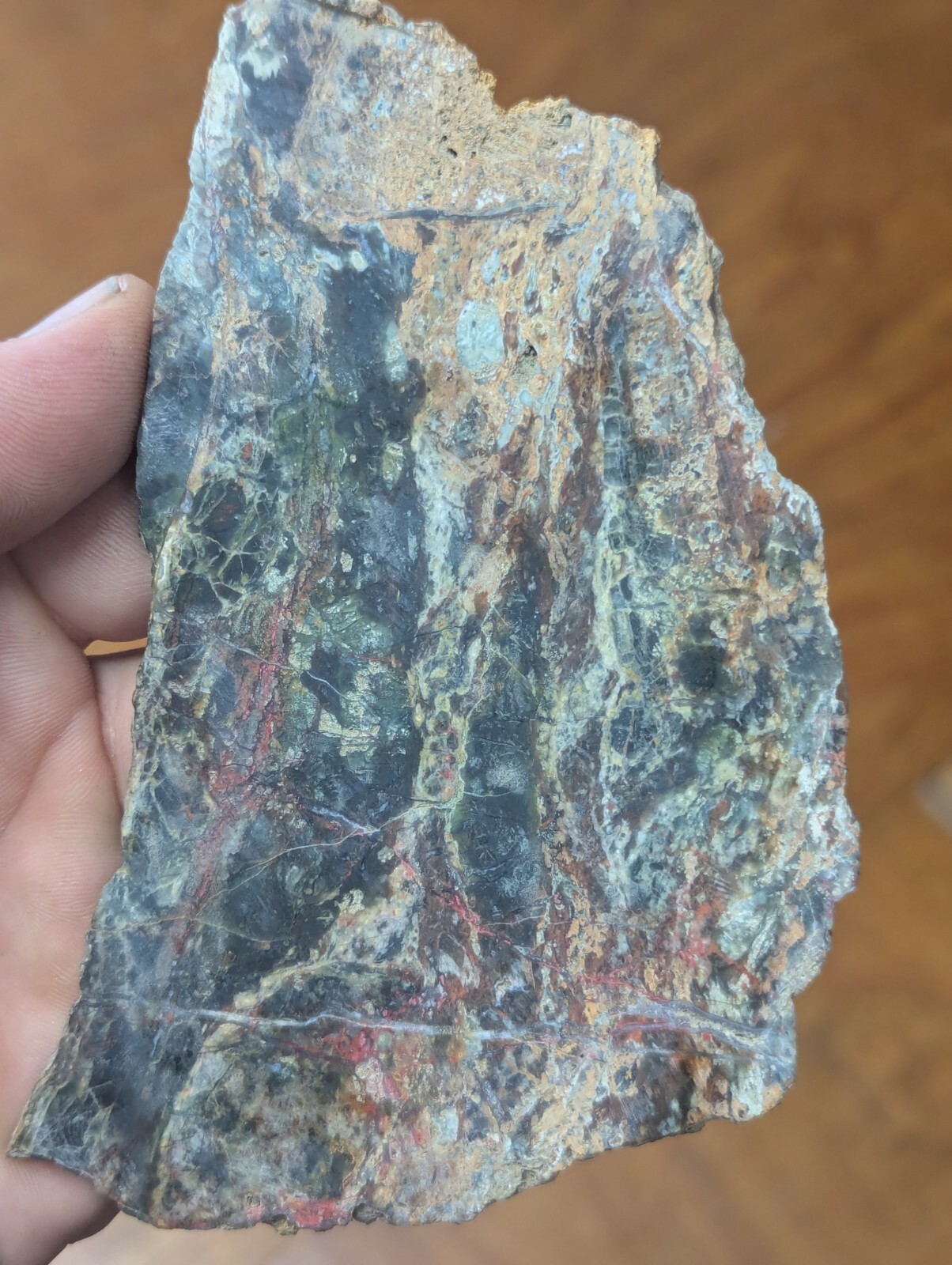 Large Natural Plasma Agate Crystal Slab Bloodstone Jasper