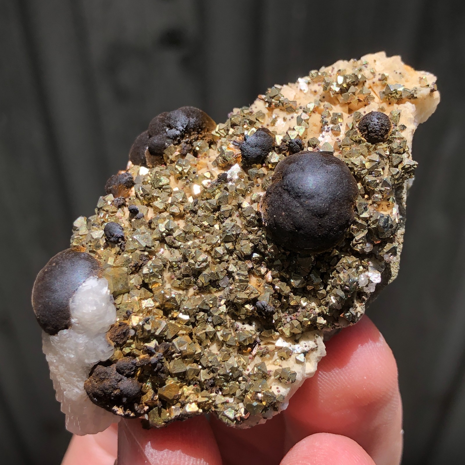 6.3cm Goethite on Pyrite, Calcite & Dolomite Crystals from Wawa, Ontario, Canada