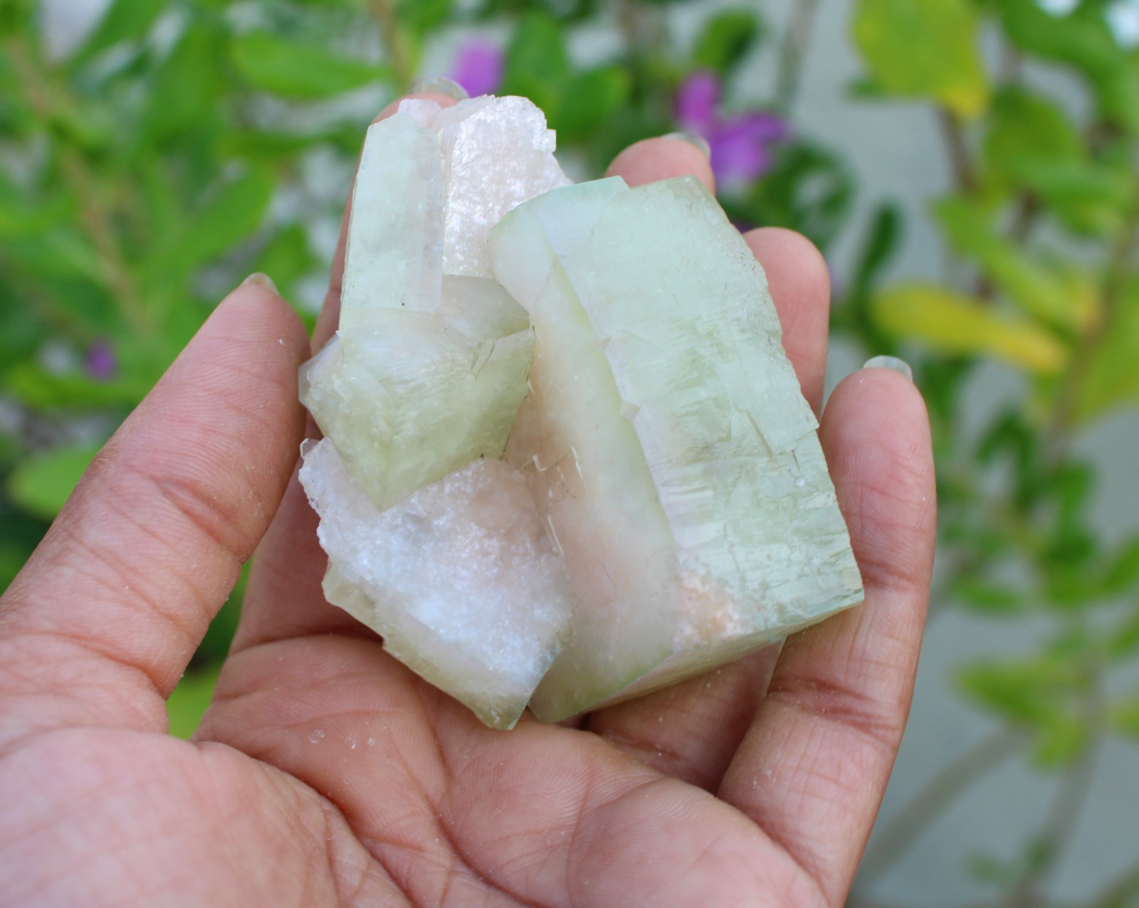 Green Apophyllite Crystals Minerals Specimen #A49