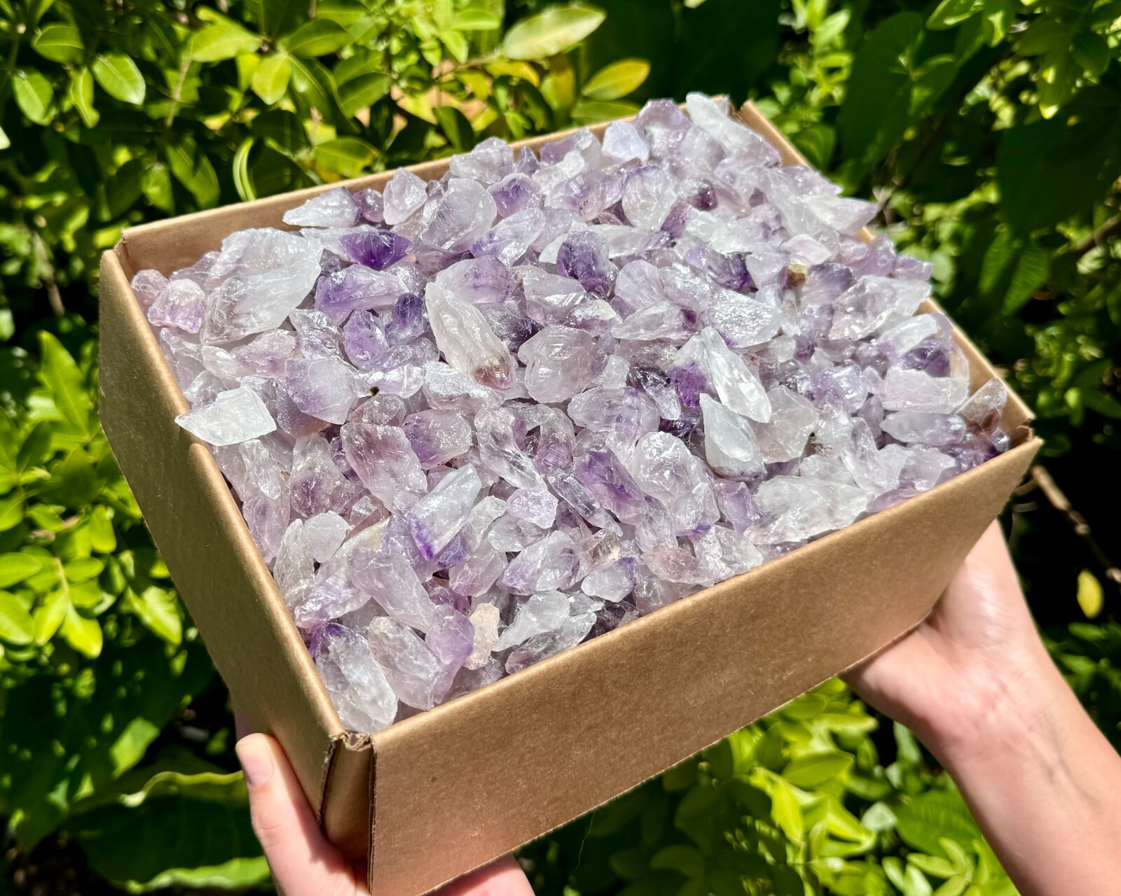 20 lb Wholesale Box Lot of CLEARANCE Amethyst Crystal Points (Amethyst Points)