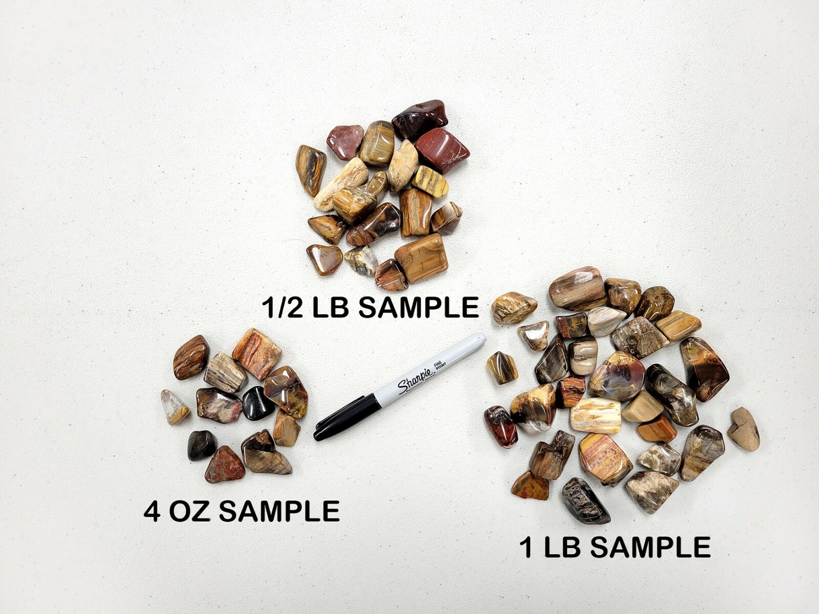 Tumbled Petrified Wood Crystals Stone Bulk Polished Healing Gems Root Chakra