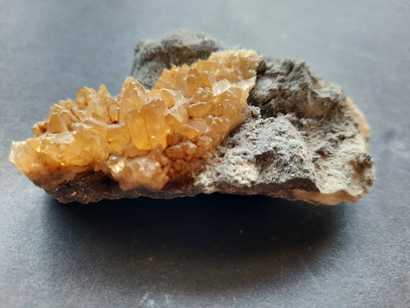 Golden Yellow Honey Calcite Crystals on Fossil Mangrove Clam Shell Rucks Pit