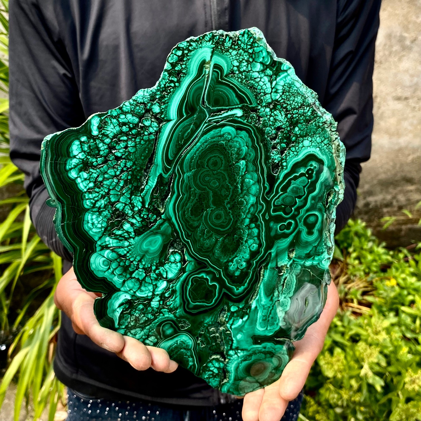3.61LB Natural malachite slice quartz crystal luster mineral specimen