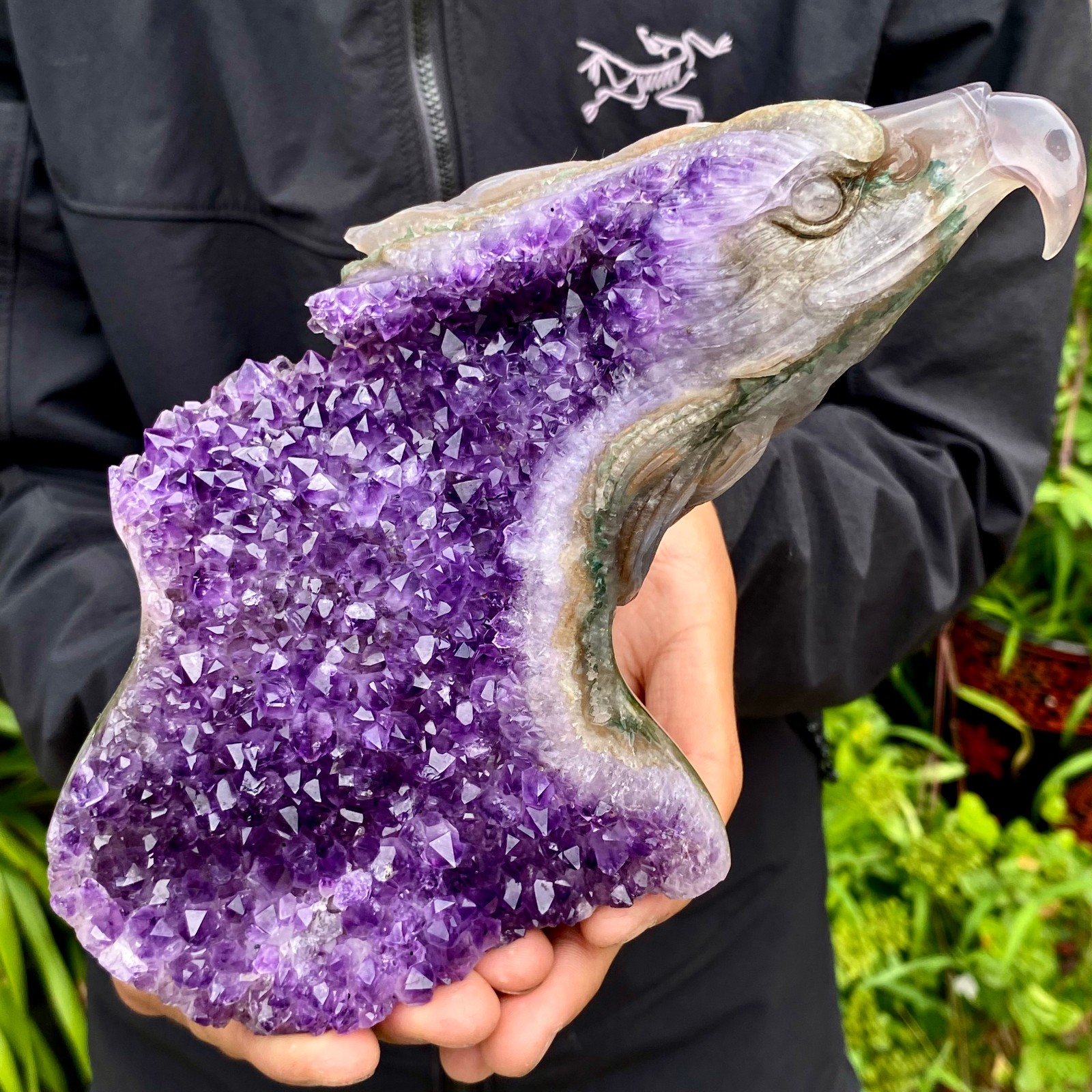 2.2LB Natural Amethyst Agate Geode Hand Carved eagle Quartz Crystal Decor