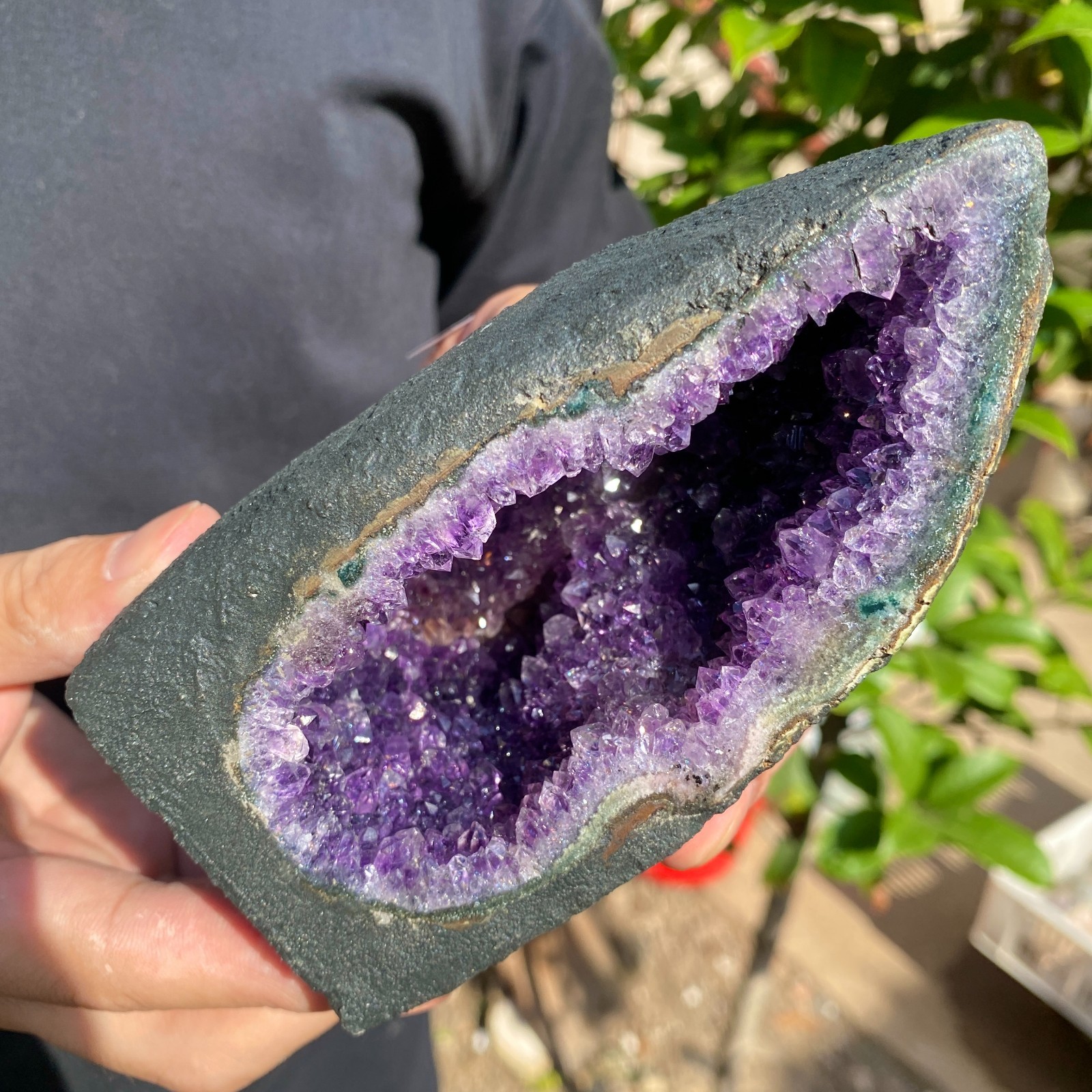 670G Natural Amethyst geode quartz cluster crystal specimen Healing