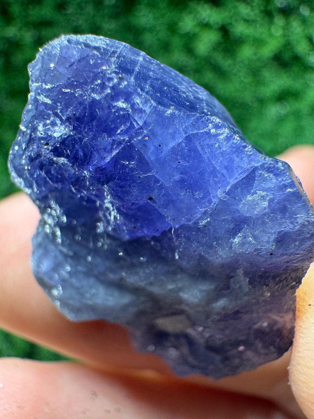 Lovely TANZANITE Crystal with COLOR CHANGE under yellow/white light / N370