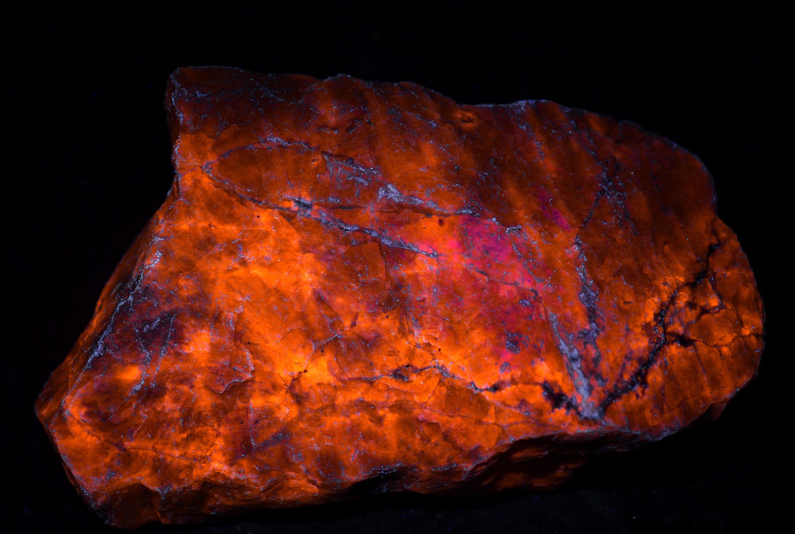 Sodalite, rich blue color, bright orange UV! Kunene region, Namibia. 320 grams.