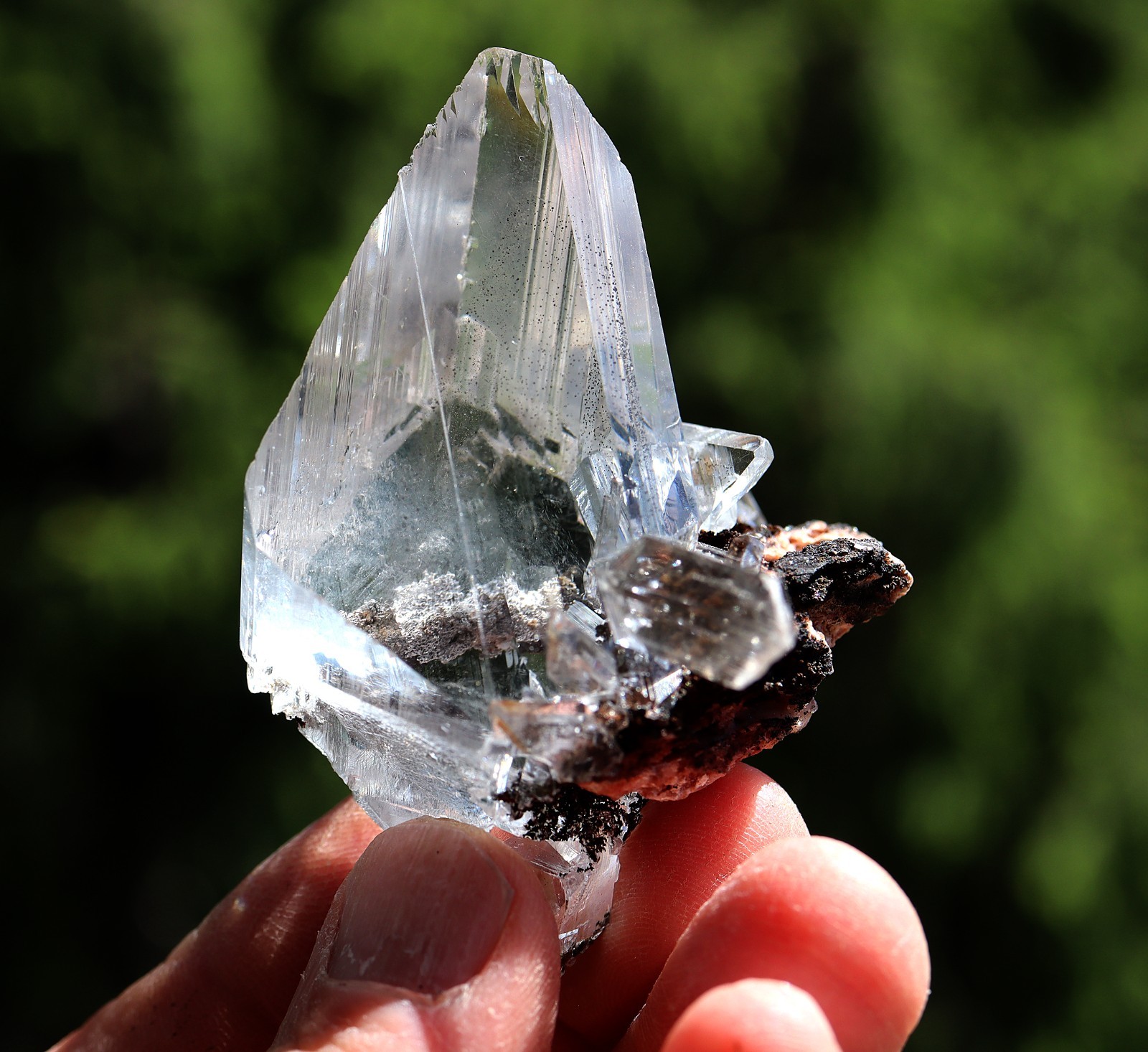 Gypsum “Selenite” Naica, Mexico 84.7 grams