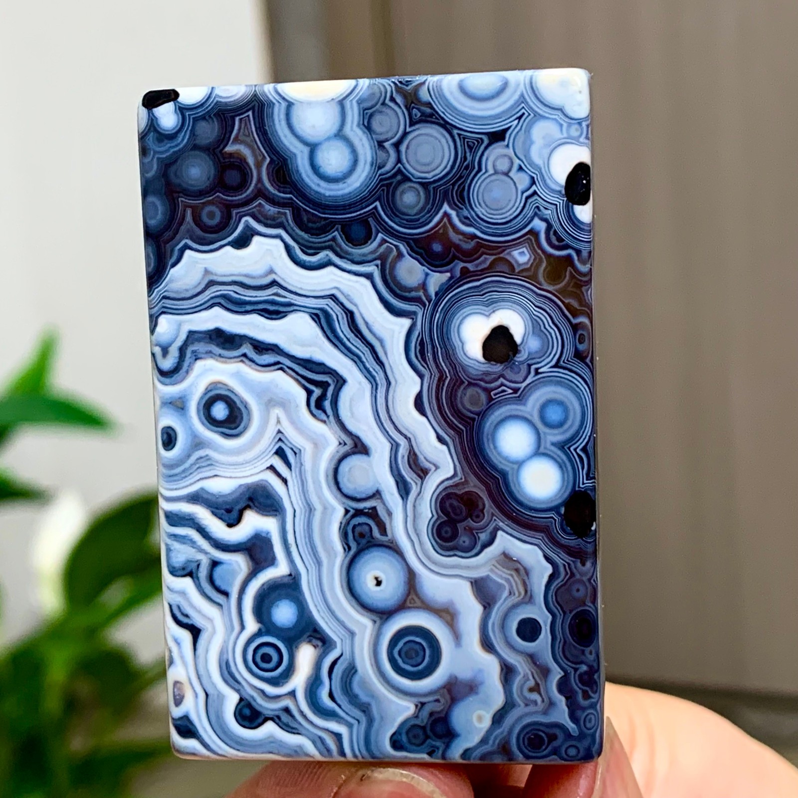 56g Natural Gobi Thousand Eyed Agate tumble palmstone Shape Reiki Chakra Healing