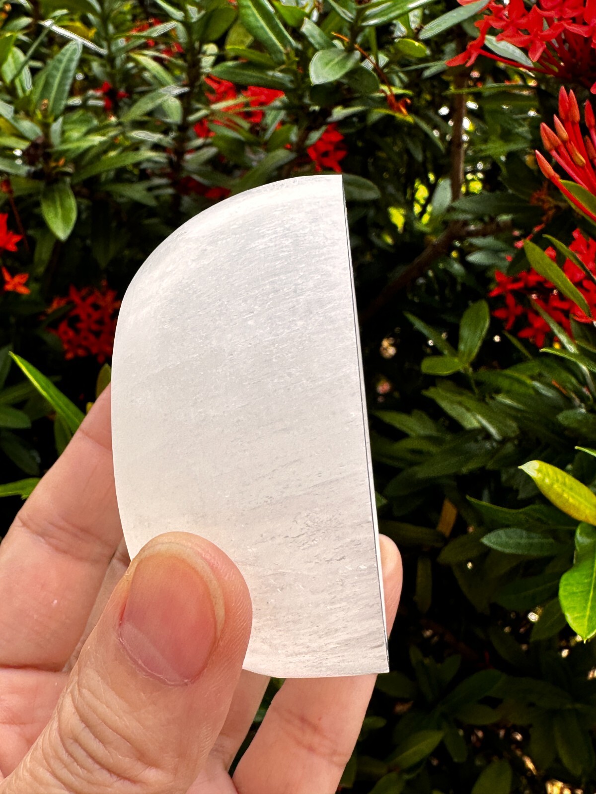 Selenite Bowls 3″ Diameter, Gemstone Carved Selenite Crystal Charging Bowl, Bulk