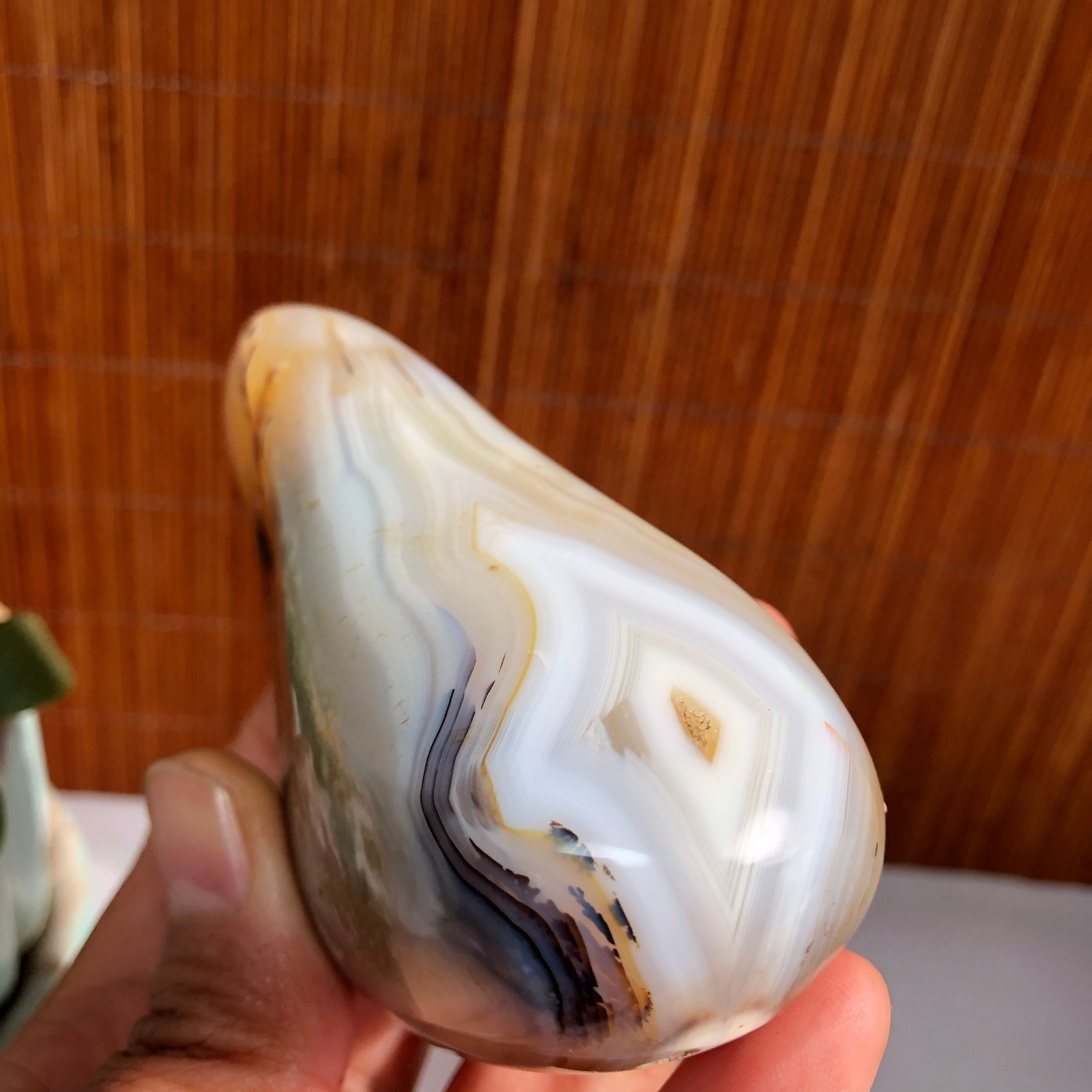 80mm Natural aquatic plants agate pretty Crystal specimens 235g A1485