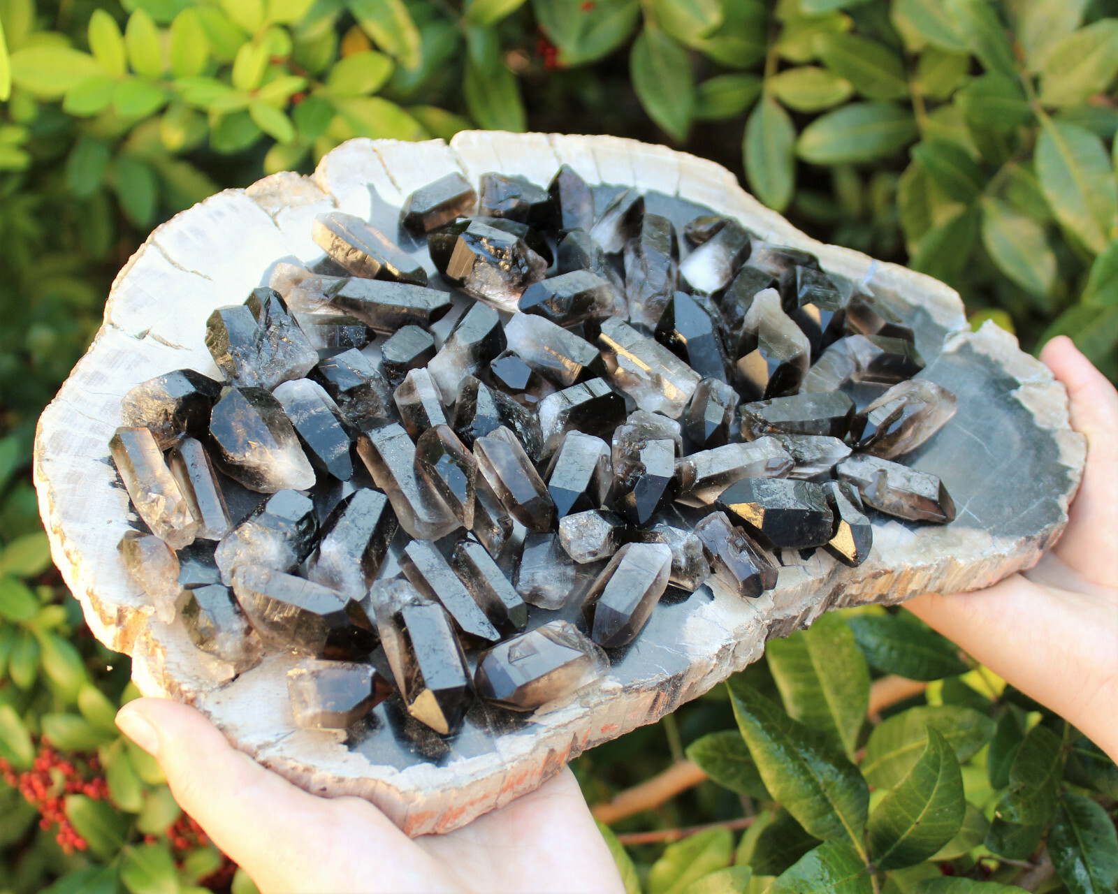Smoky Quartz Crystal Points: 1 lb Bulk Lot (Smokey Quartz, US Seller, 16 oz)