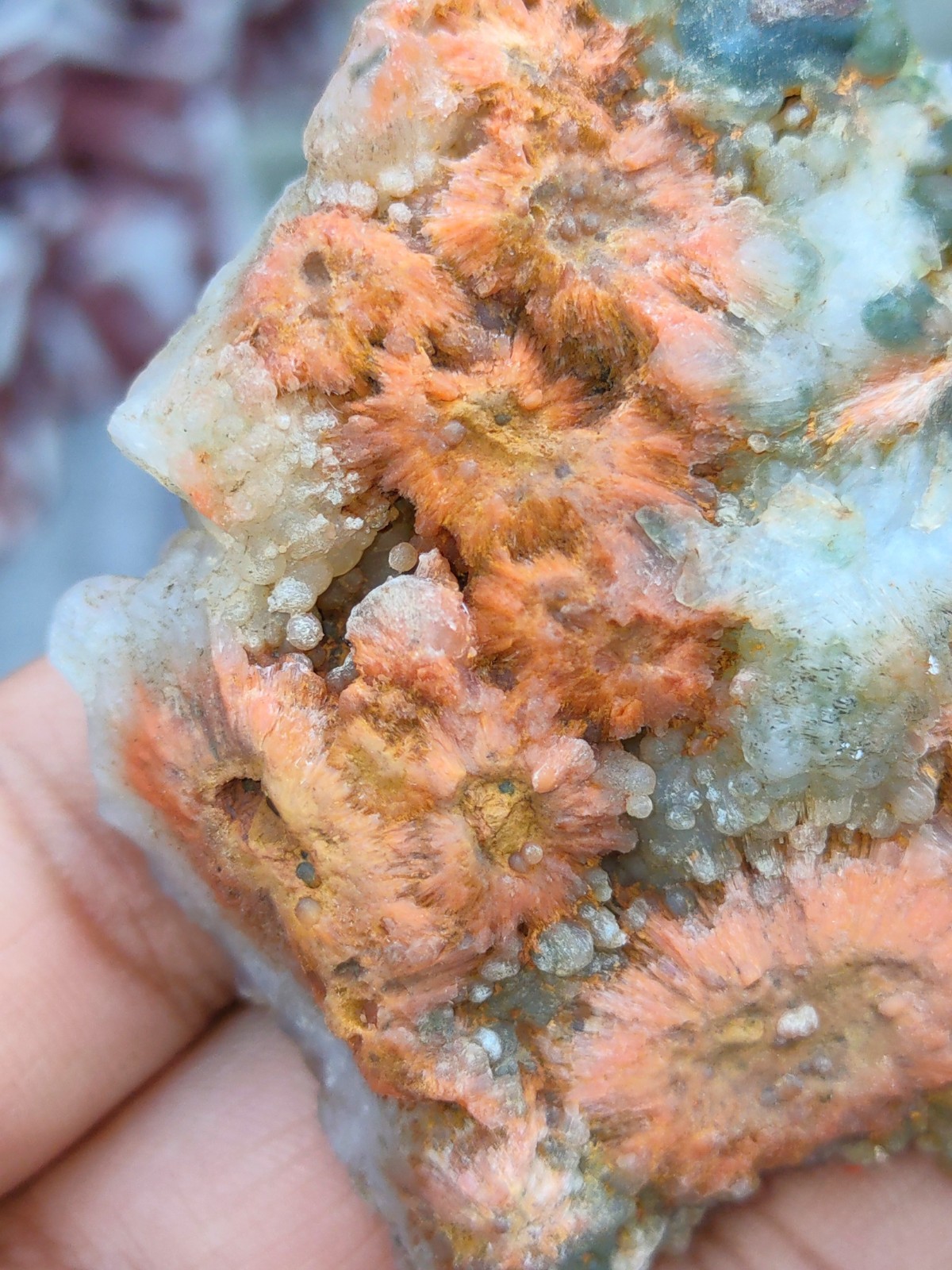 Sun flower with Chalcedony ( Red Scolecite Flower with Chalcedony