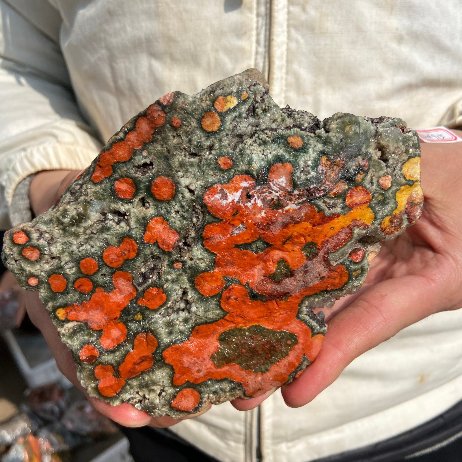 2.2lb Natural colourful ocean jasper raw stone crystal rough mineral specimen
