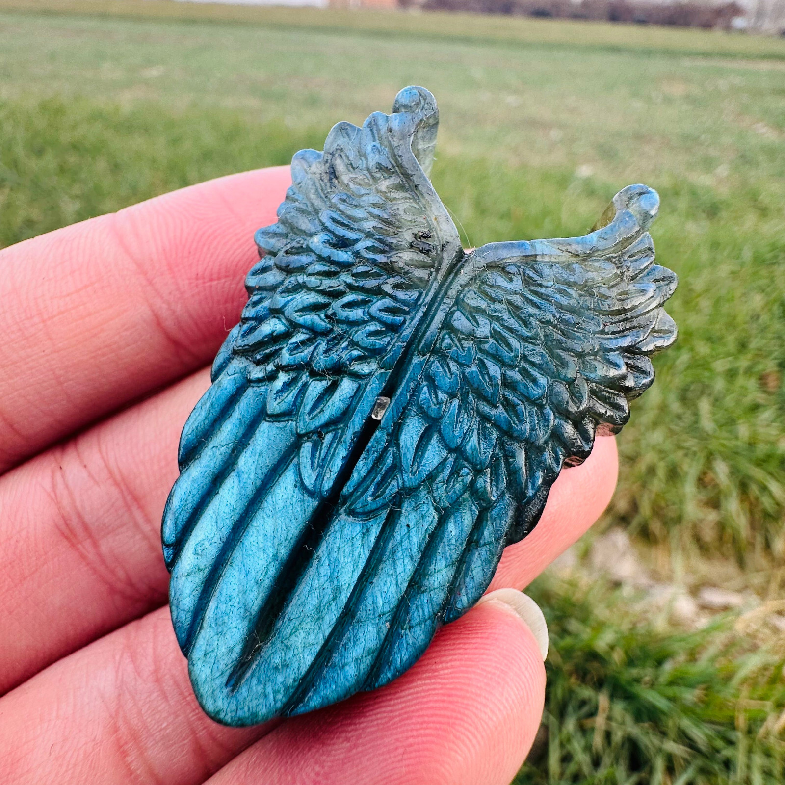 Natural Labradorite Carved Wing Quartz Skull Crystal Specimen Reiki Healing 1PC