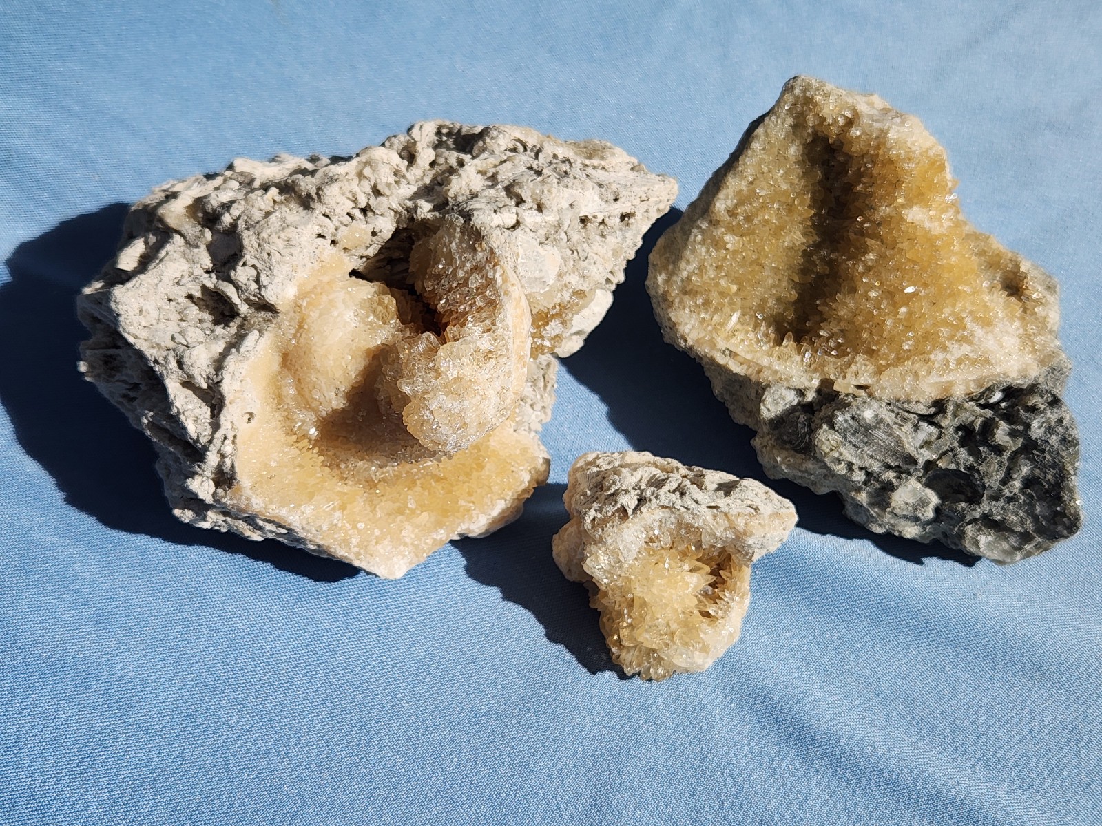 SET OF 3 Calcite CRYSTAL WHELK Shells Fossil Rucks Pit Florida dogtooth LOT