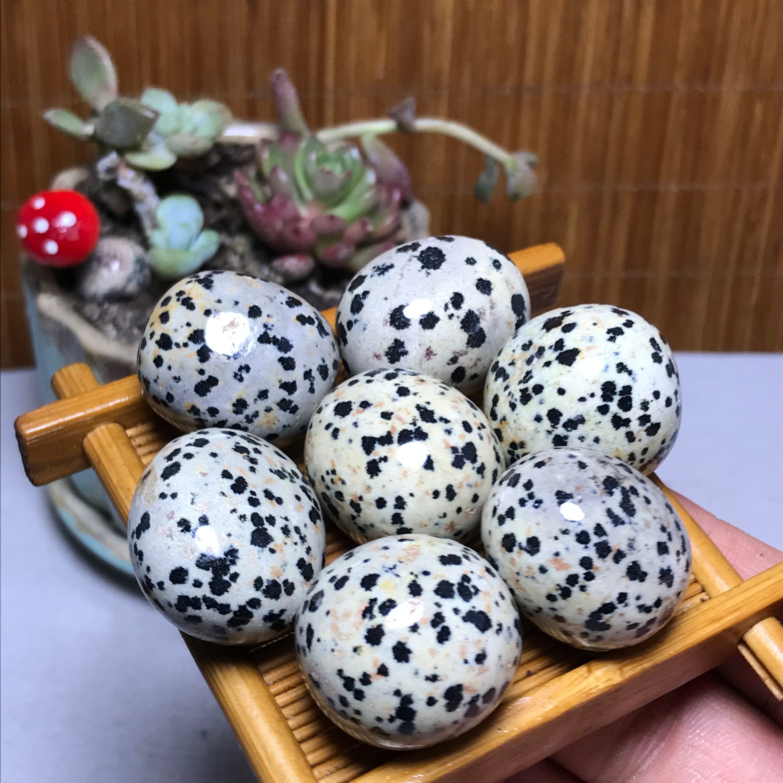 25-22-22mm 7Pcs Natural spotted stone Crystal gemstone Mineral Specimen A4408